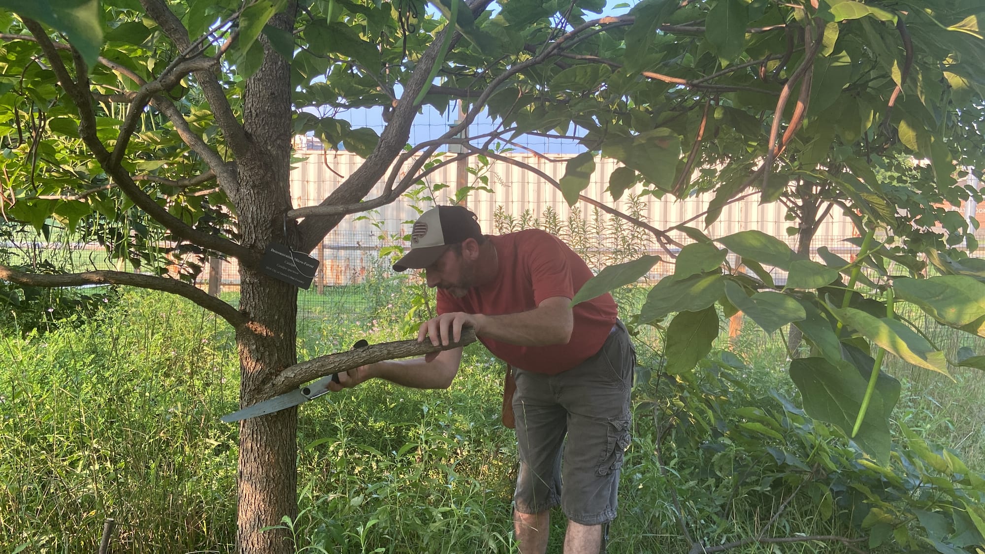 Rob Christopher, Easton's conservation manager, held a class Wednesday evening at the city's microforest about the basics of 