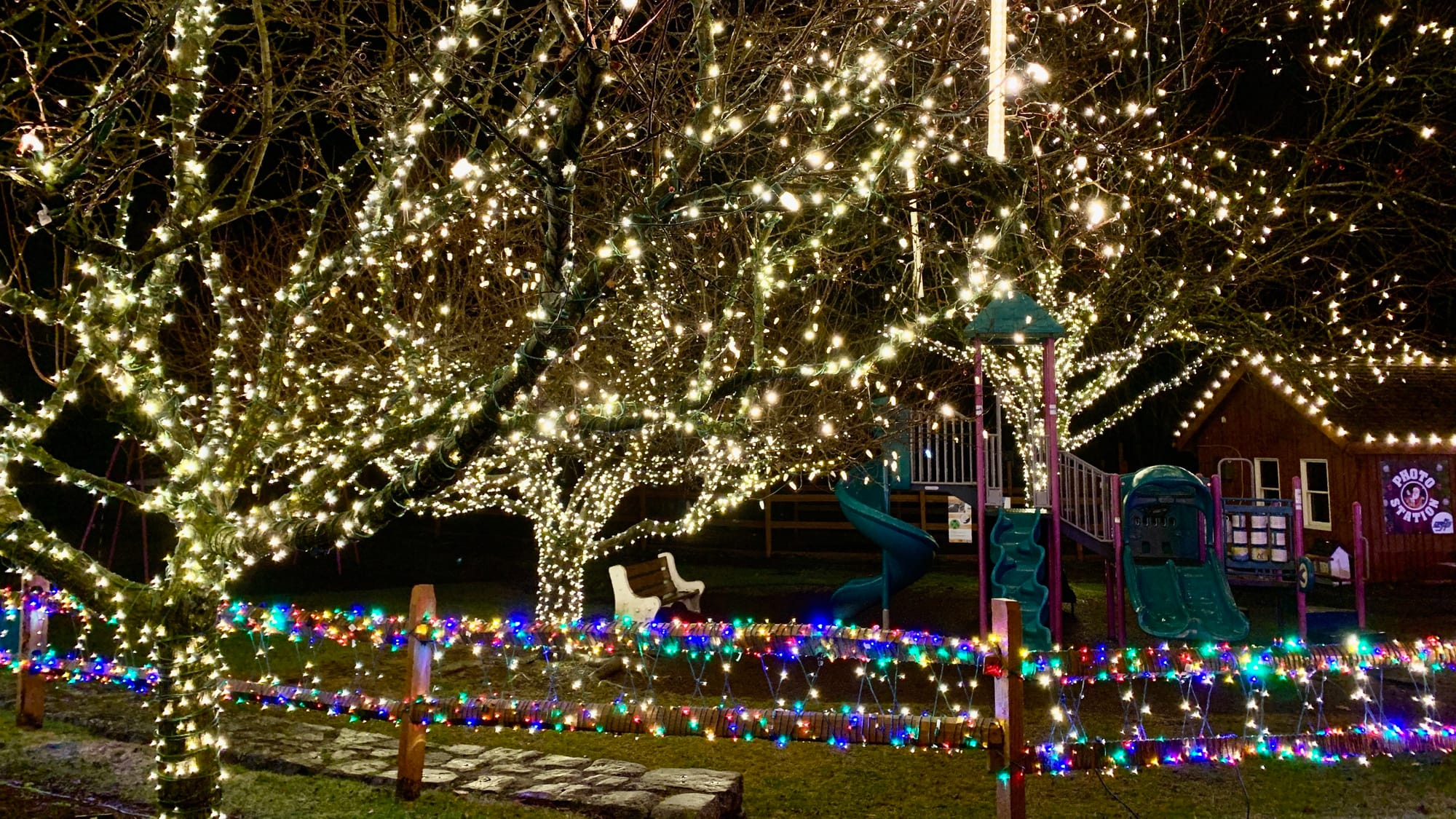 Lights at the Winter Light Spectacular.