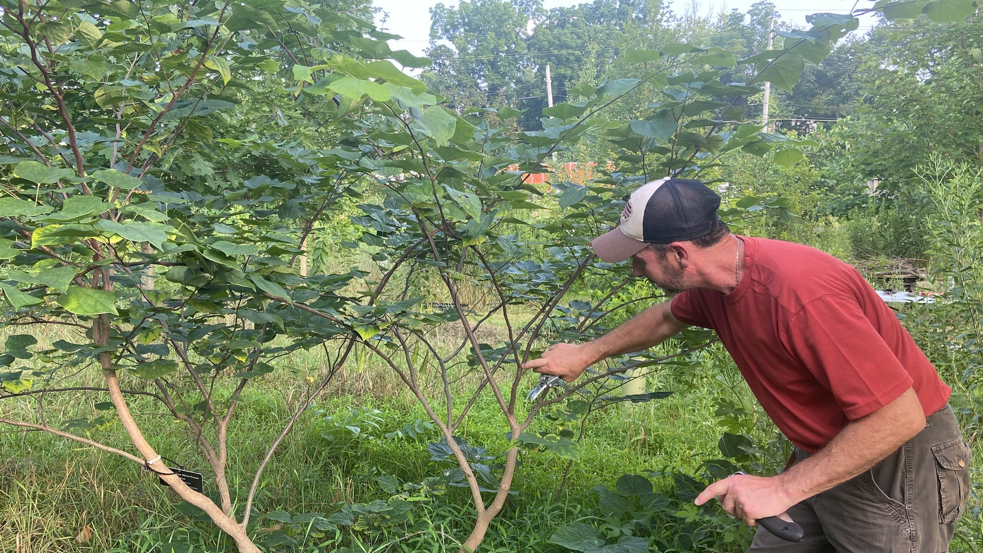 Rob Christopher, Easton's conservation manager, held a class Wednesday evening at the city's microforest about the basics of 