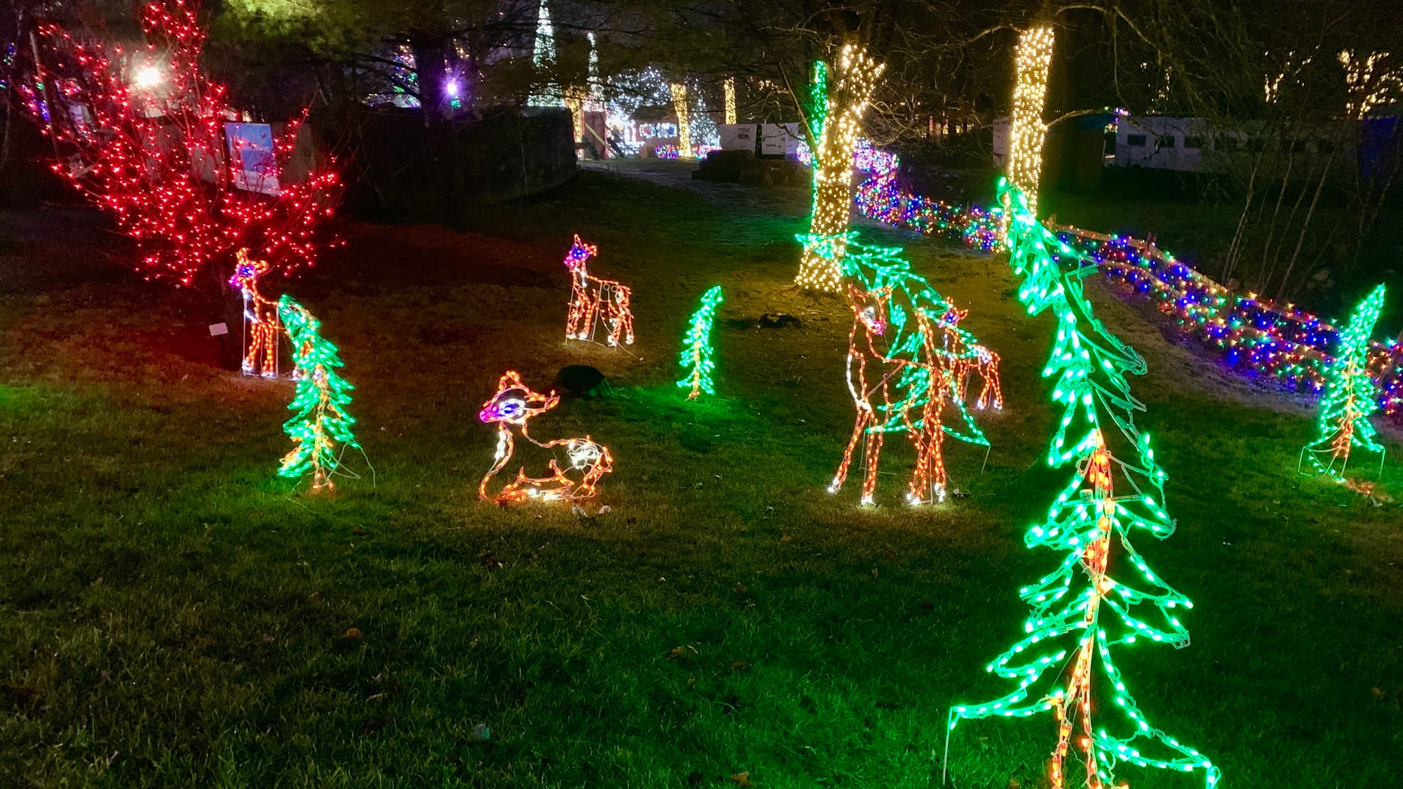 Lights at the Winter Light Spectacular.