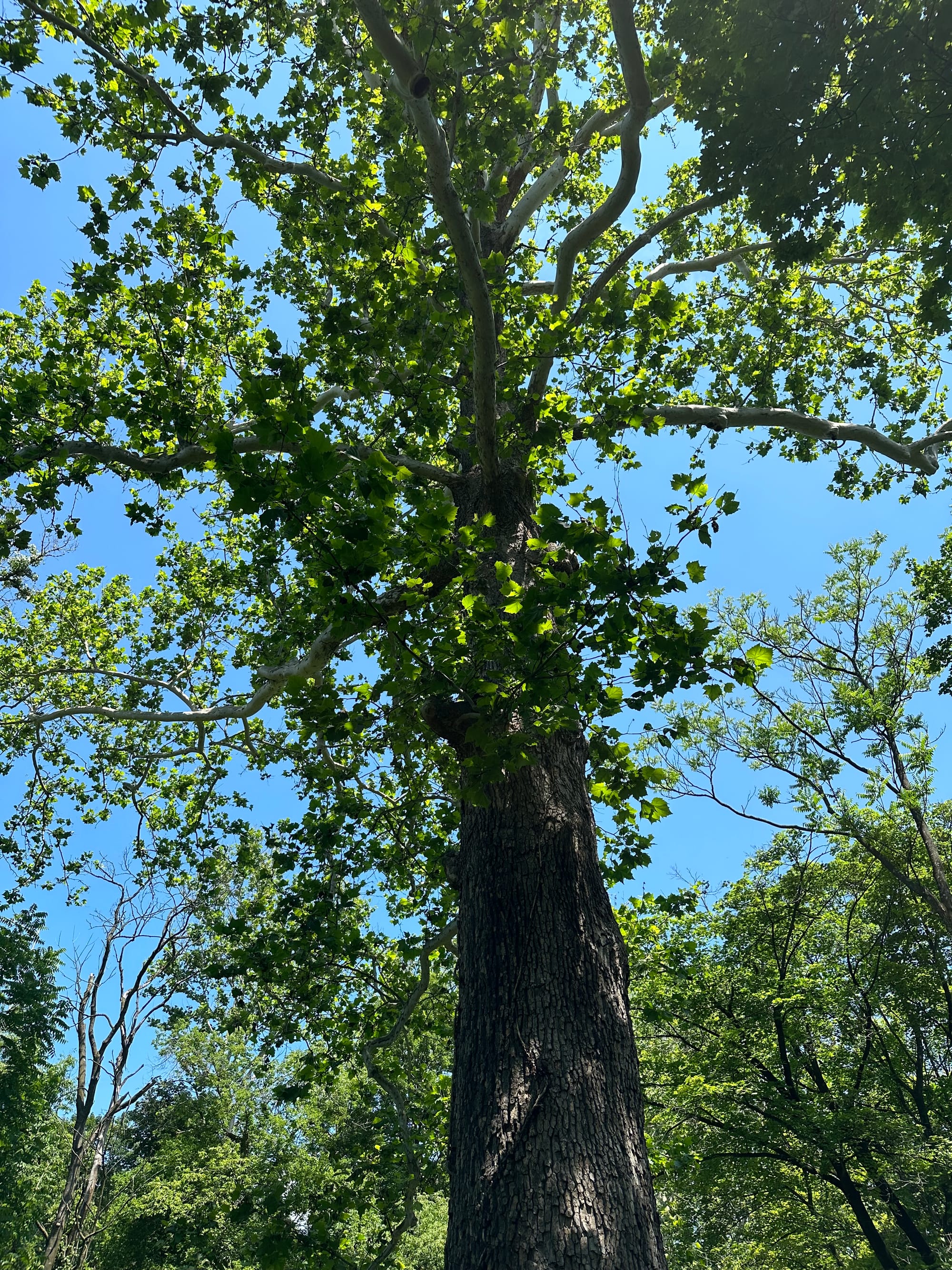 Explore the natural and human-made majesty of the Karl Stirner Arts Trail in Easton.
