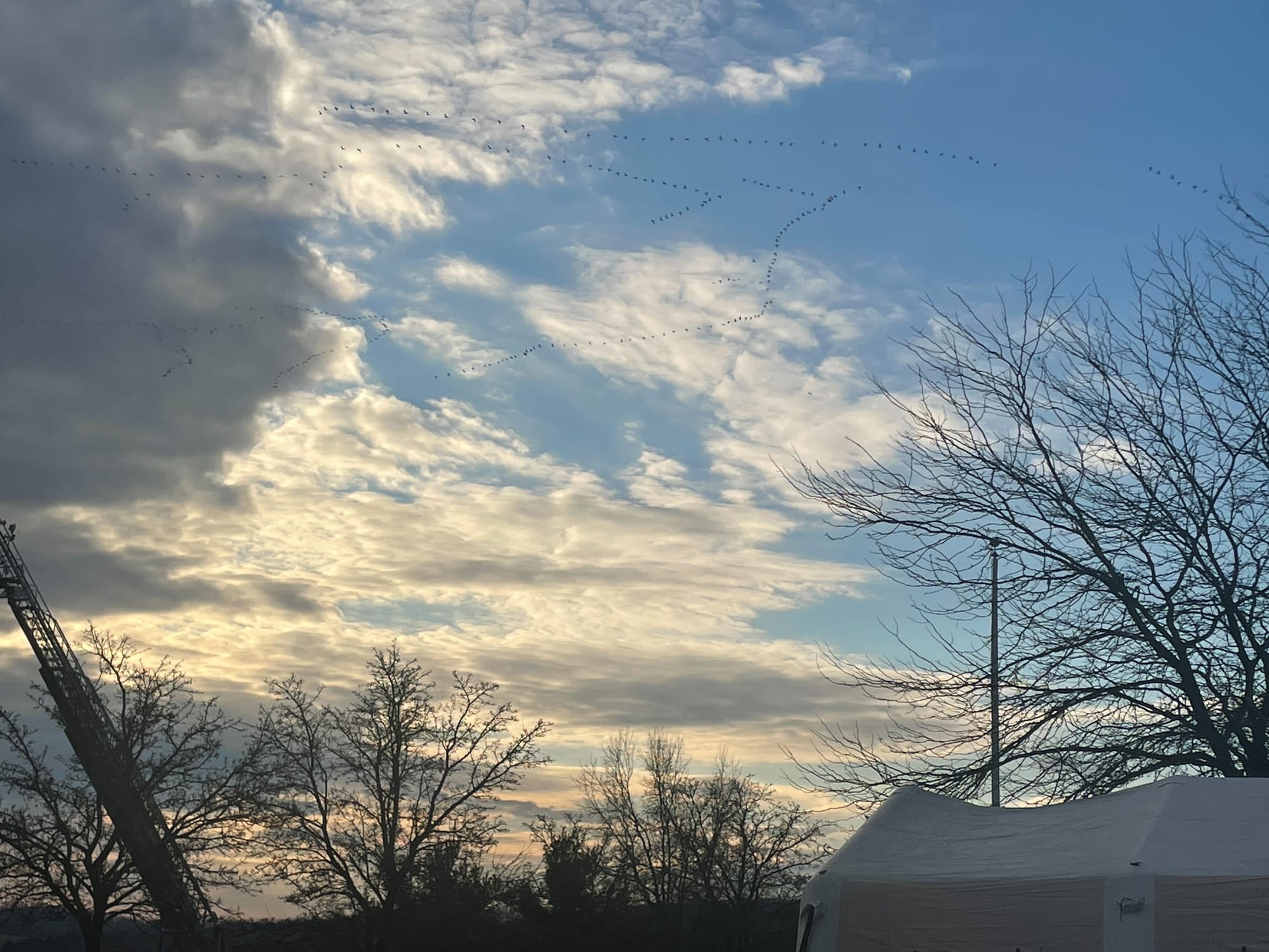 A flock of birds could be seen flying over the funeral services several times Saturday morning, usually directly over the fla