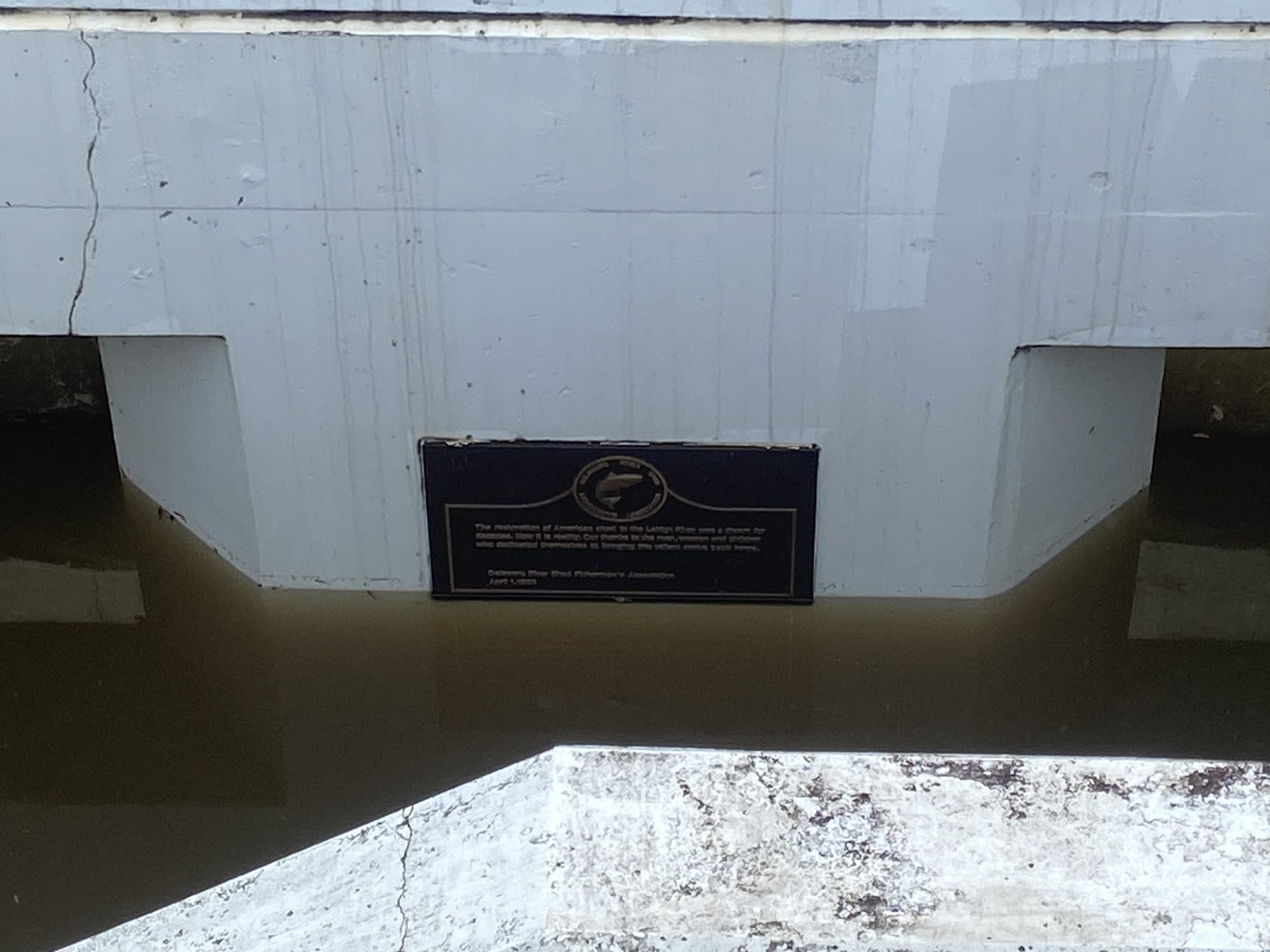 The shad ladder, connected to Easton Dam at Delaware Canal State Park, has fallen into disrepair.