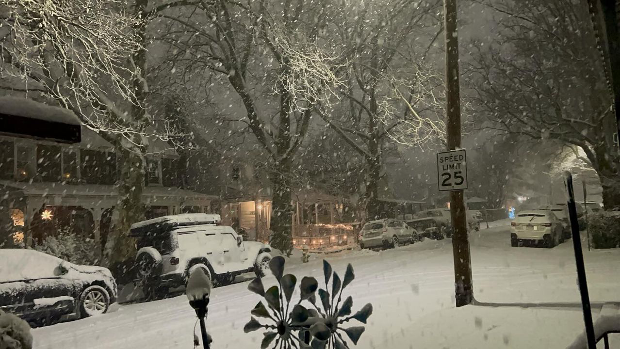 Snow in the Elmwood Park Historic District of Bethlehem on January 6, 2024.