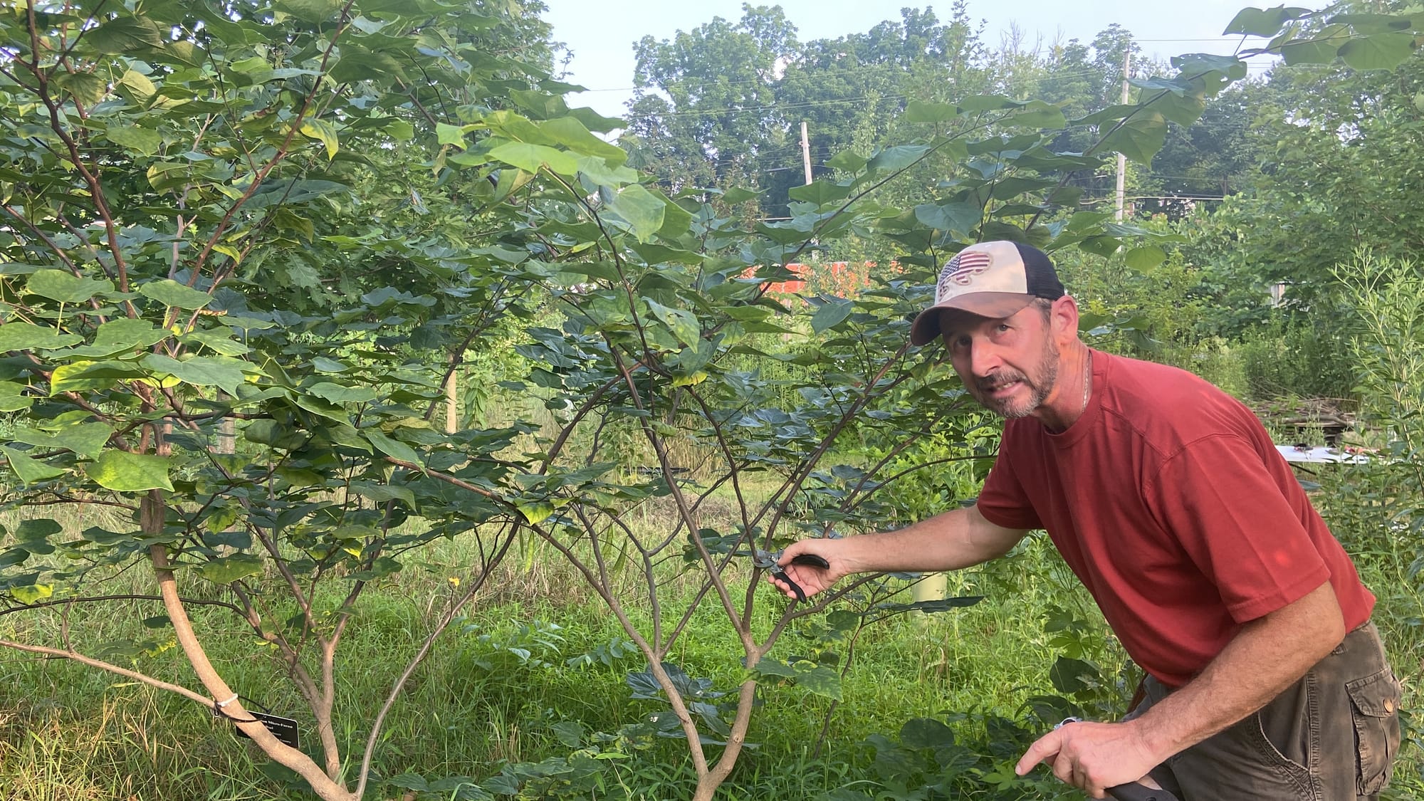 Rob Christopher, Easton's conservation manager, held a class Wednesday evening at the city's microforest about the basics of 