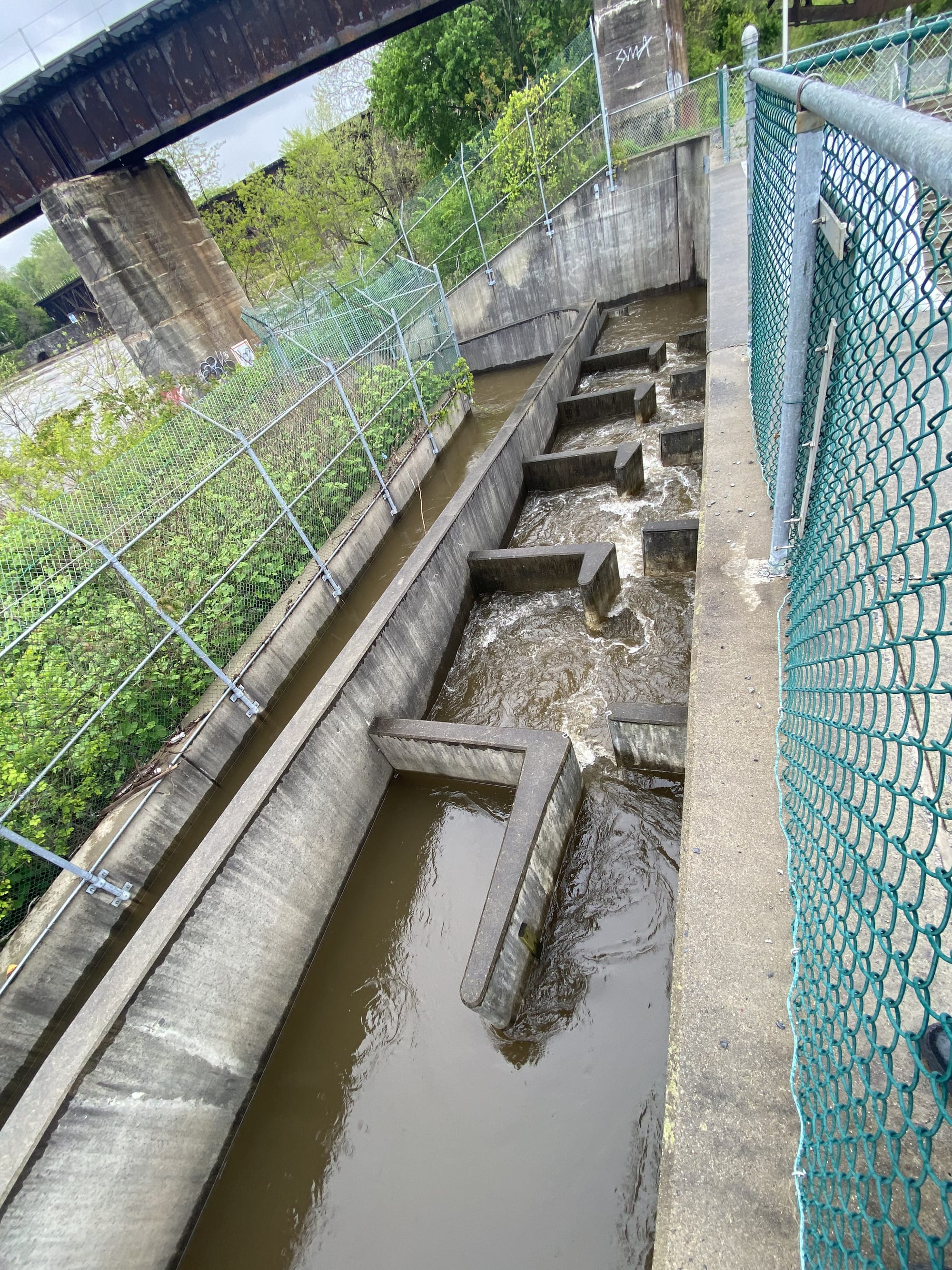 The shad ladder, connected to Easton Dam at Delaware Canal State Park, has fallen into disrepair.
