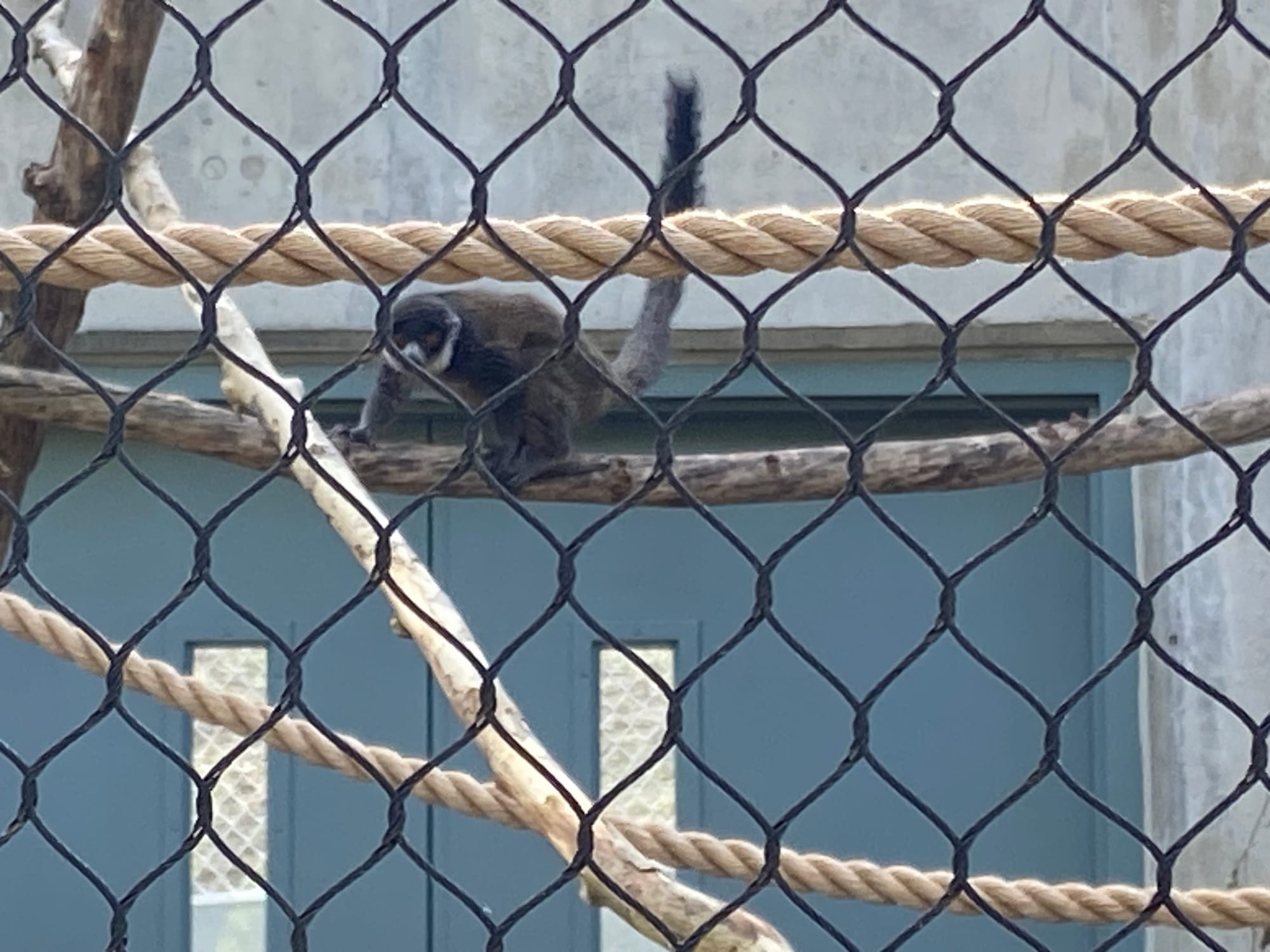 Officials gathered at Lehigh Valley Zoo, 5150 Game Preserve Road in Schnecksville, Thursday for a ribbon cutting at the zoo's