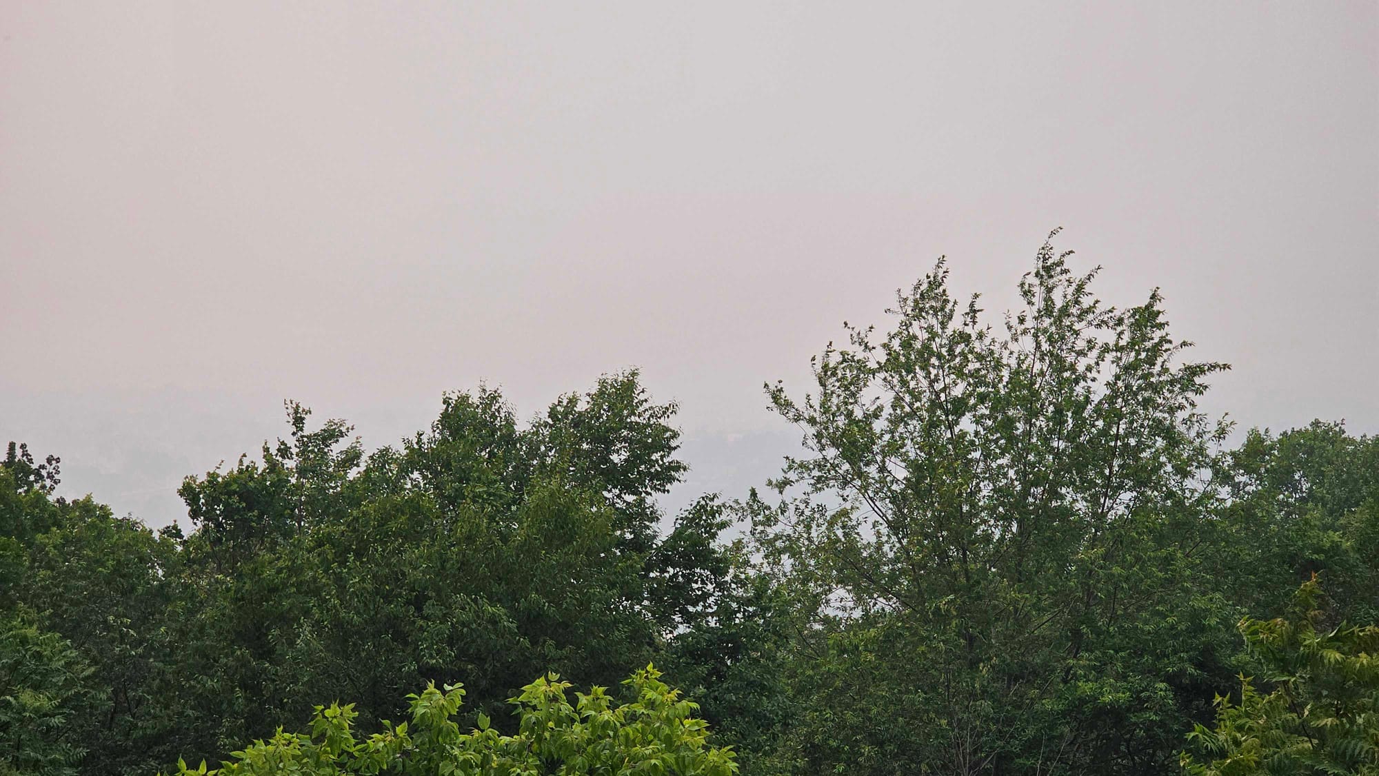 Lookout Drive and Lower Sayre Park Road.
