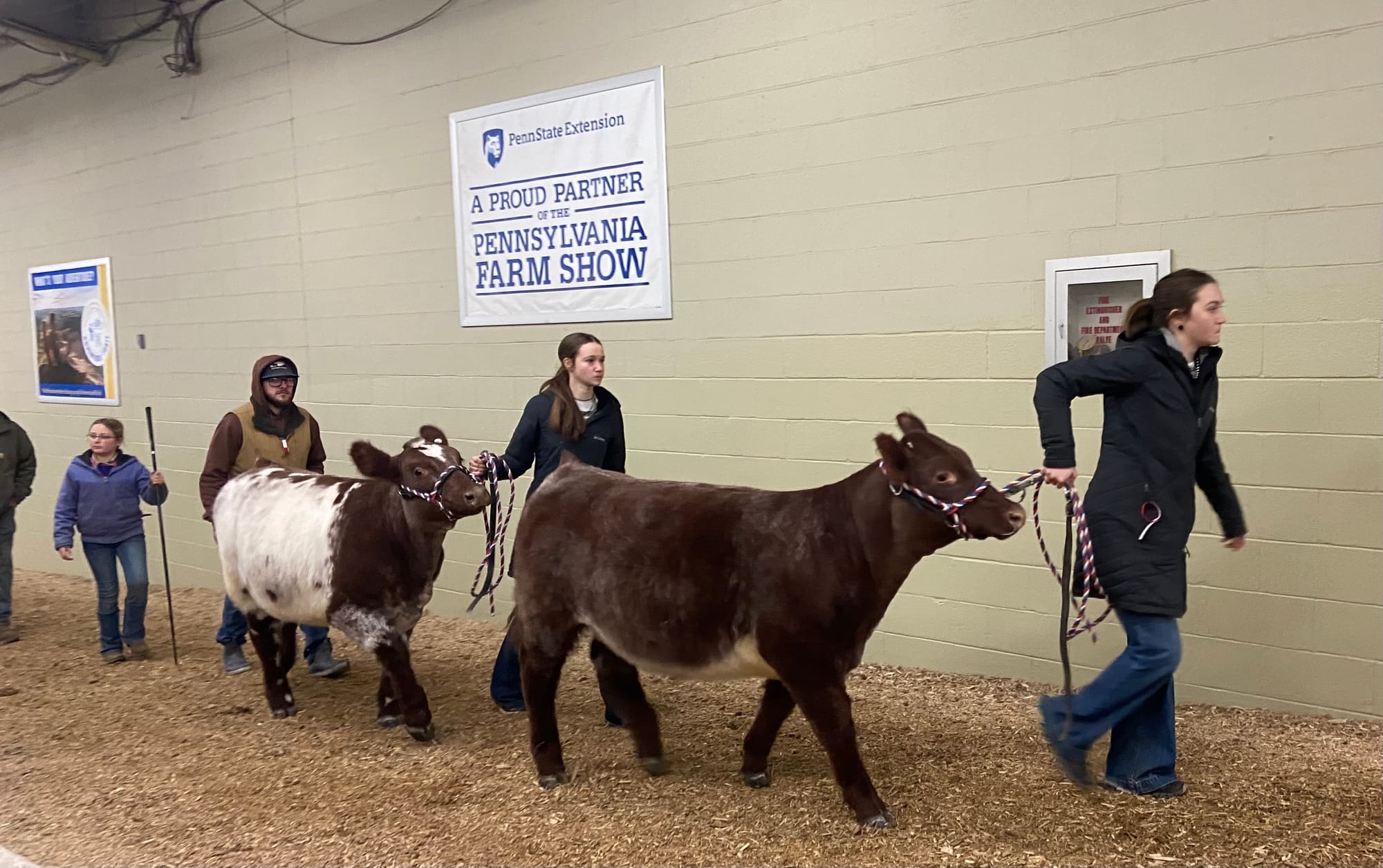 The 109th PA Farm Show opened Friday. Billed as the largest indoor agricultural event in the world, it includes 24 acres of a