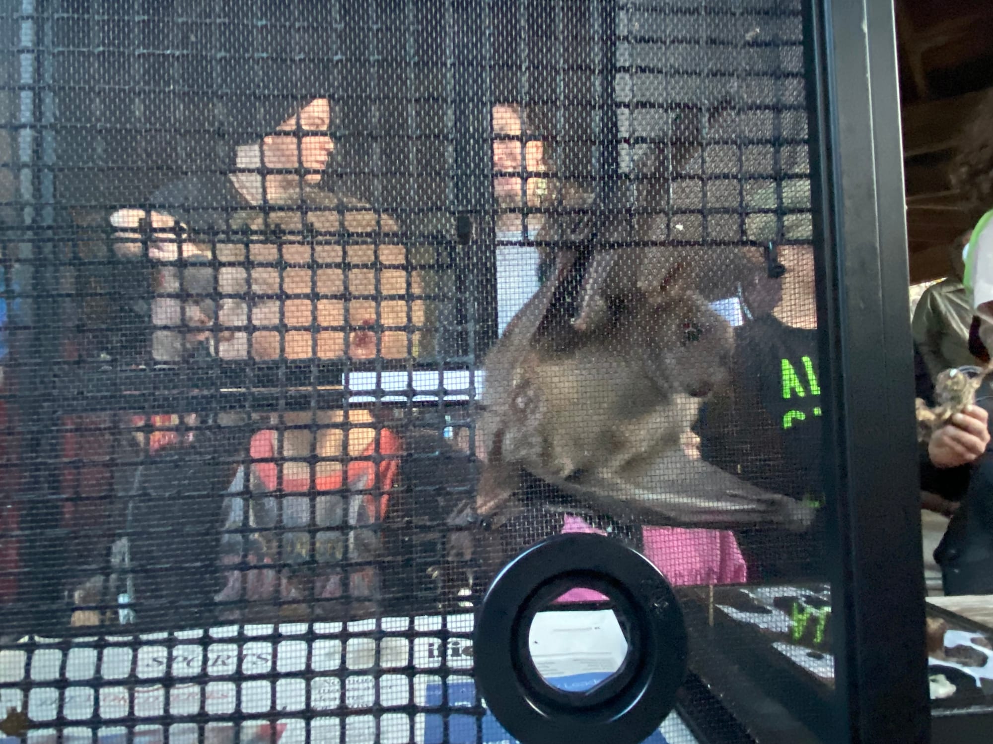Sue Gallagher, chief naturalist for the Carbon County Environmental Education Center, hosted an education bat event Friday at
