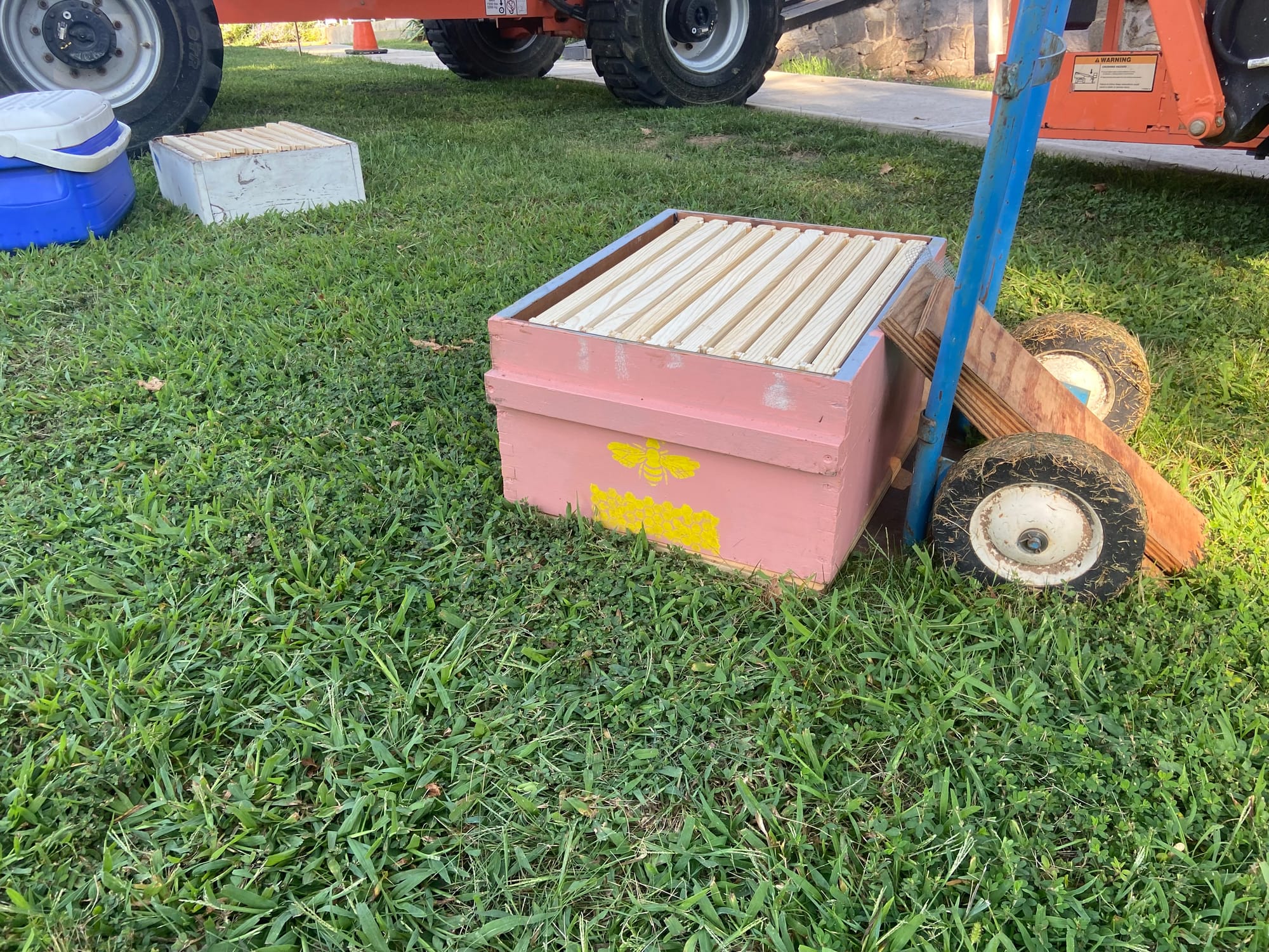 James Zdepski, a beekeeper and carpenter, removed a colony of bees Wednesday from the Riegelsville's borough hall.