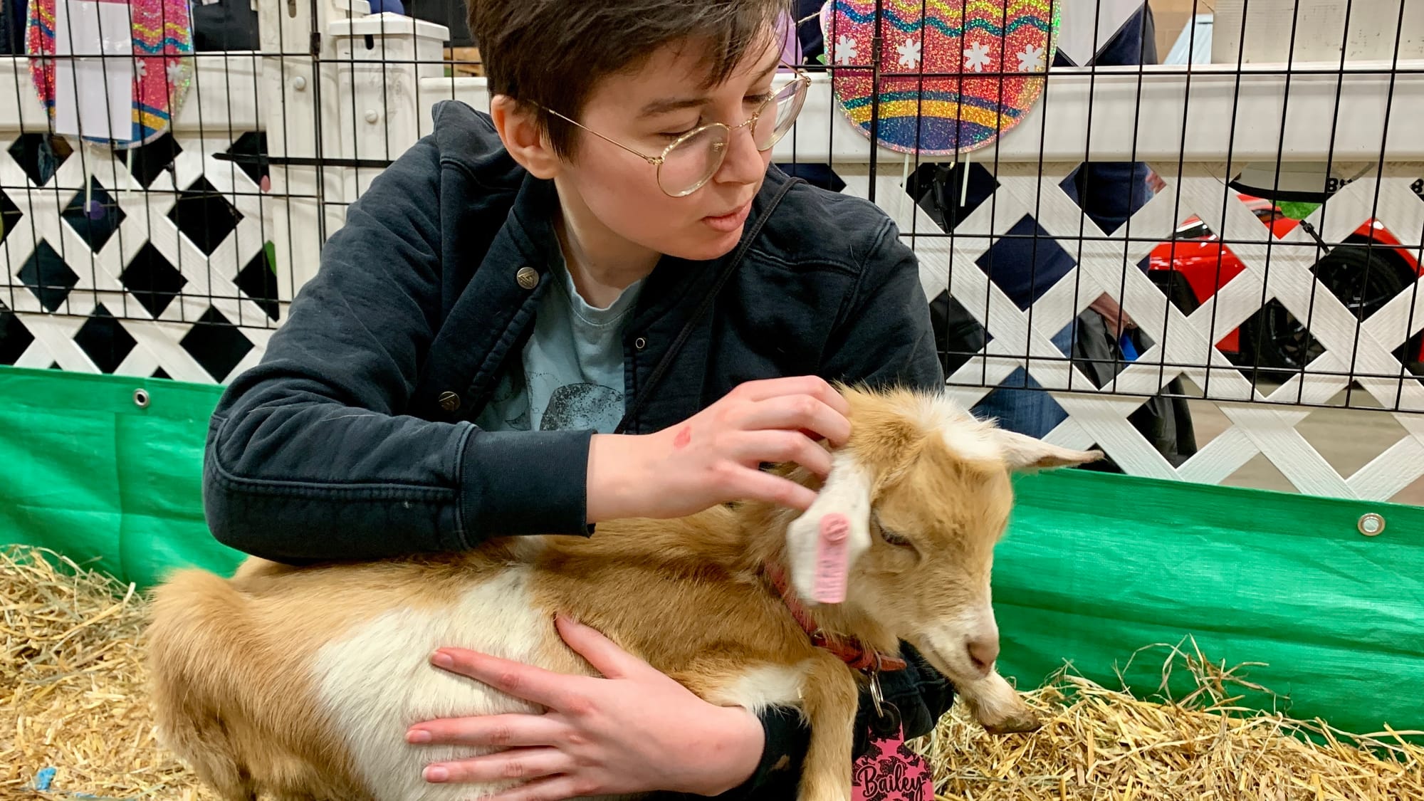 Attendee Corinne Marble snuggles a goat at the Steinmetz Family Farm's Baby Goat Snuggling.