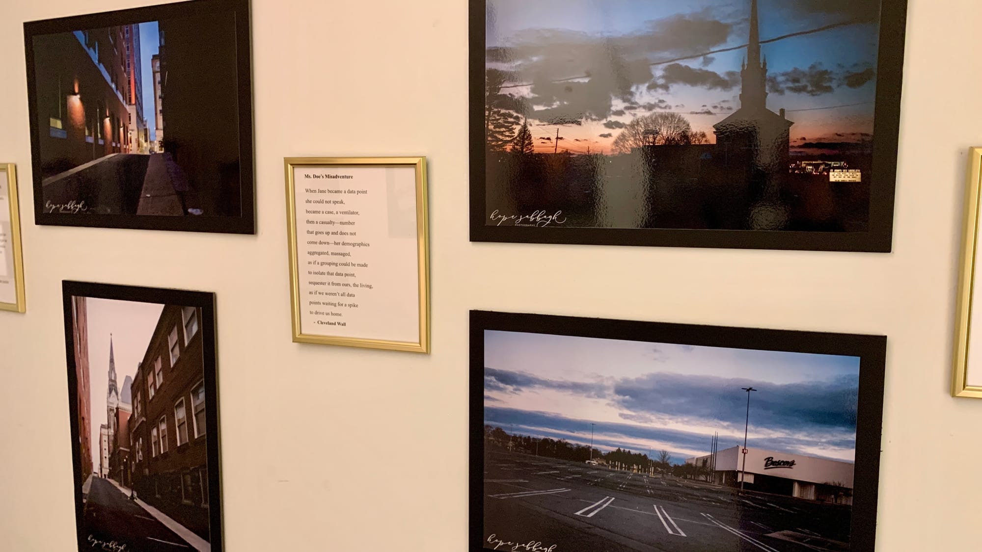 Photos taken by Hope Sabbagh in the 'Restoring Petals' exhibition.