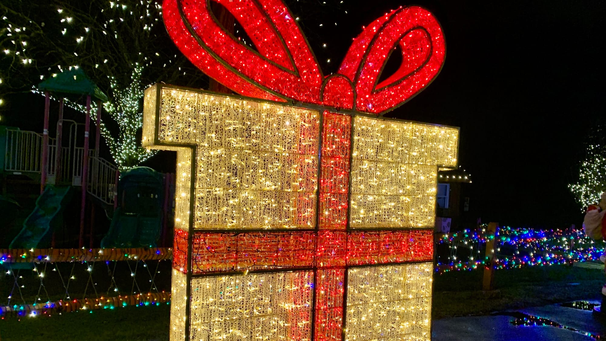 Lights at the Winter Light Spectacular.