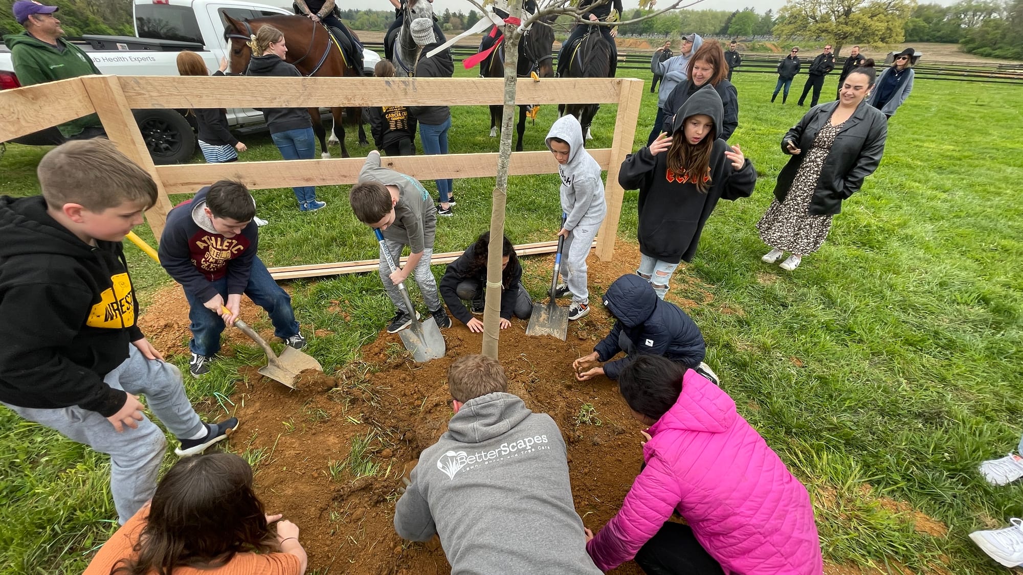 Students use shovels to secure their tree into its new home.
