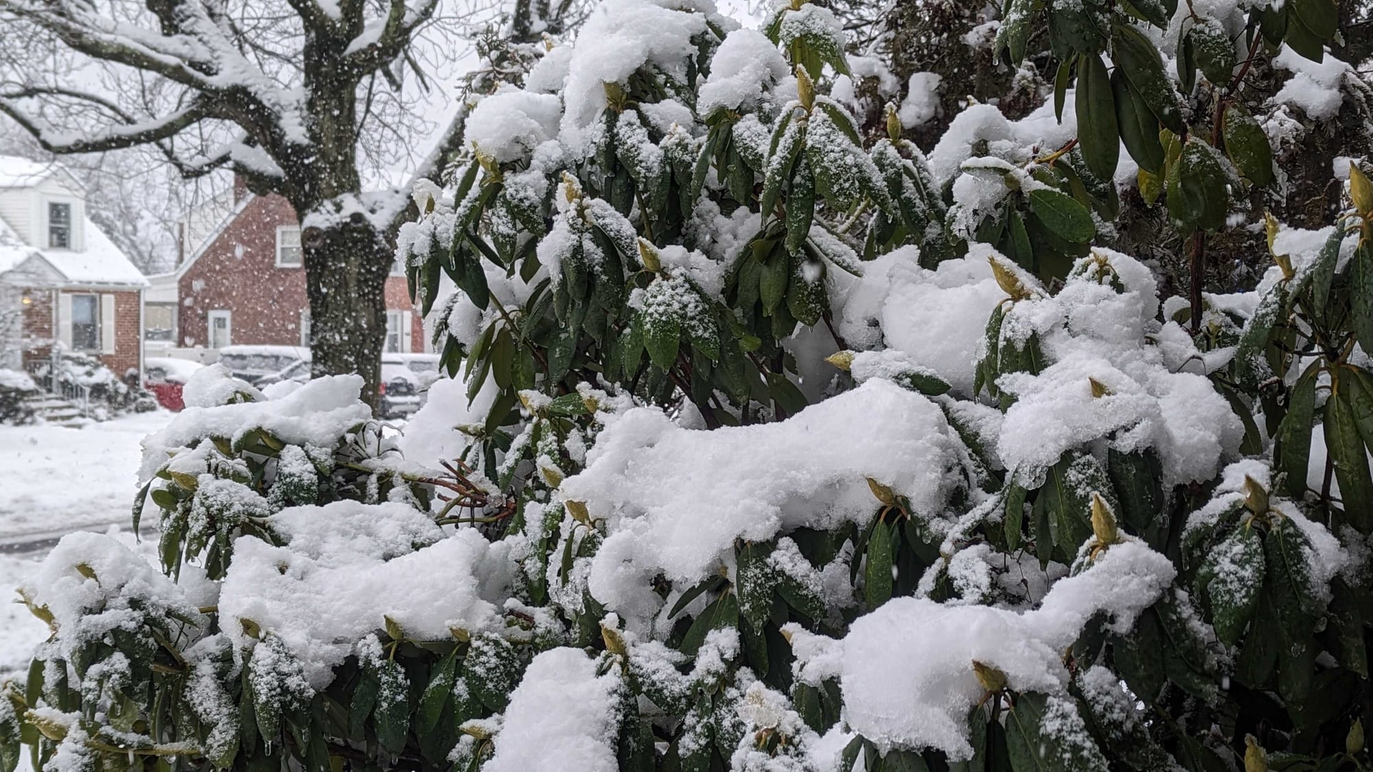 The Midway Manor neighborhood in Allentown received just over 5 inches of snow overnight from Saturday, January 6, 2024 to Su