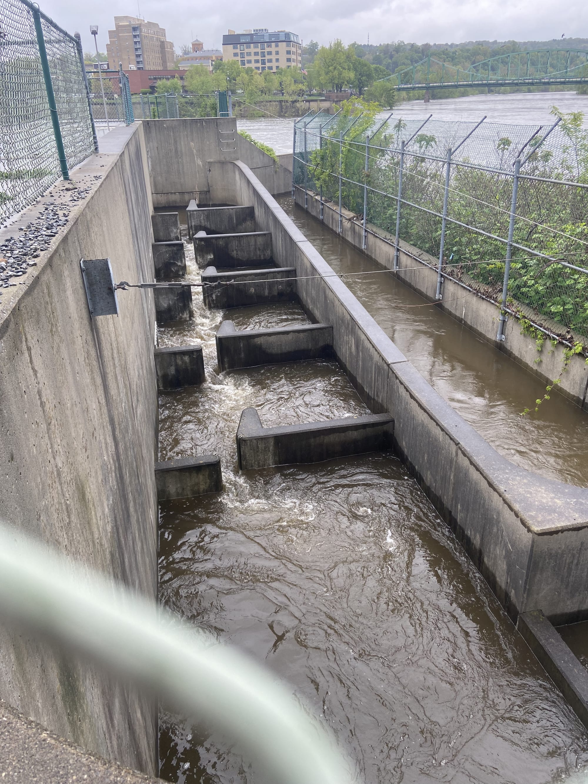 The shad ladder, connected to Easton Dam at Delaware Canal State Park, has fallen into disrepair.