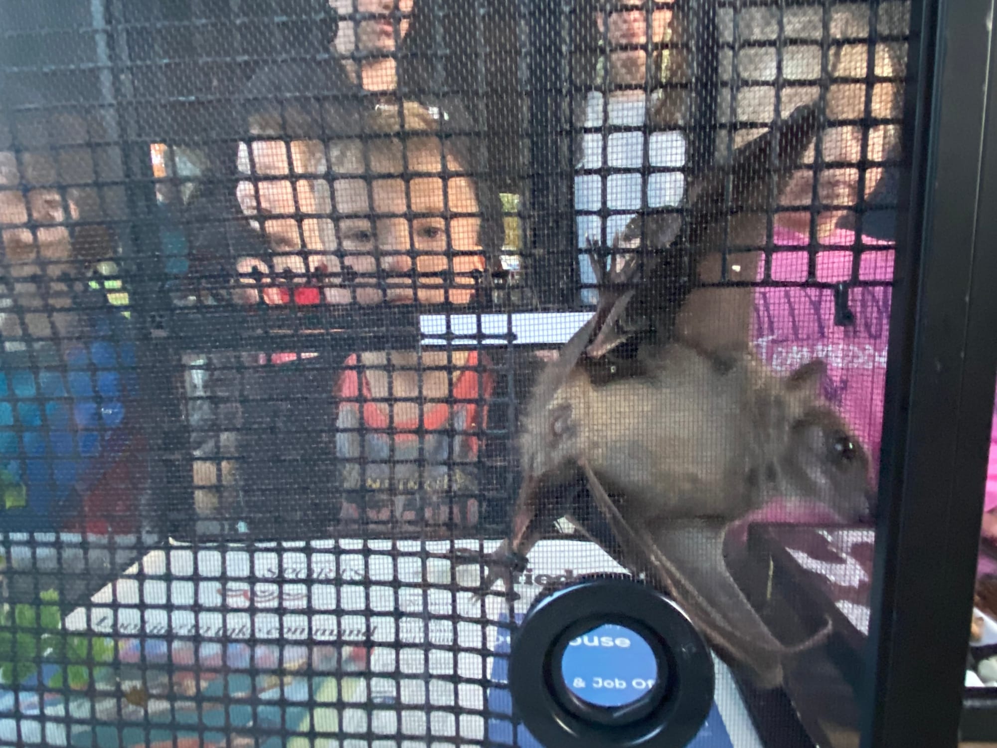 Sue Gallagher, chief naturalist for the Carbon County Environmental Education Center, hosted an education bat event Friday at