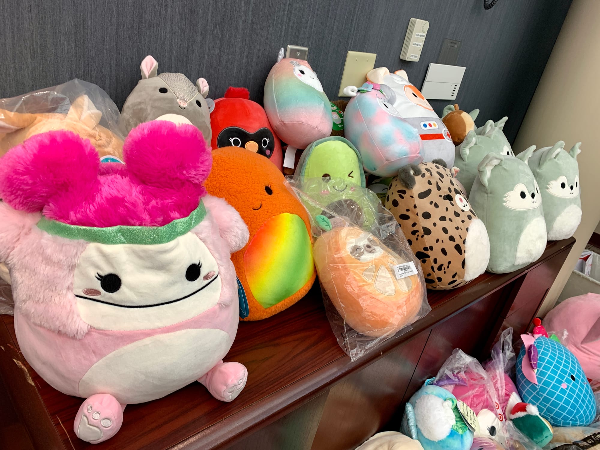 A table of Squishmallows ready to be gifted. Hartley said they are the number one most requested gift in the organization.