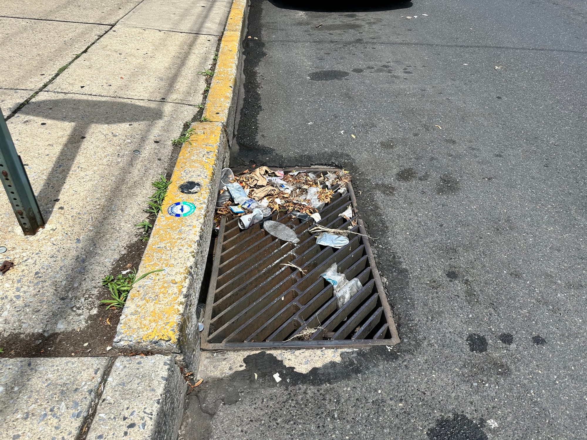 More than 50 bags of trash were collected from Allentown's streets Saturday as part of the Community and The Arts Clean Up.