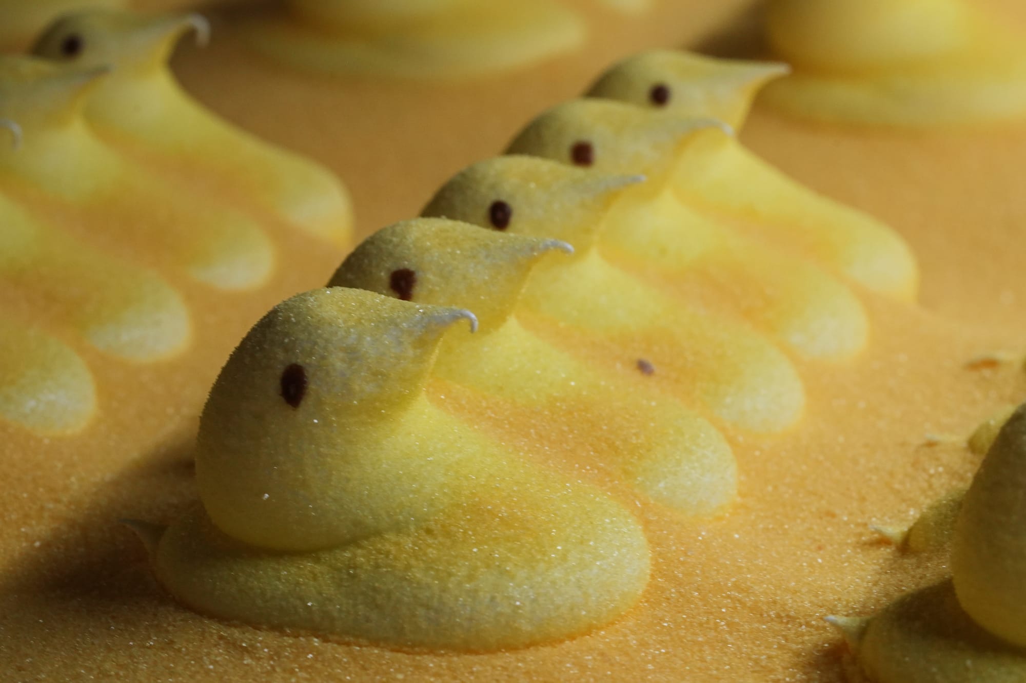 Peeps marshmallow treats move through the manufacturing process at the Just Born factory in Bethlehem, Pa., Thursday, April 1