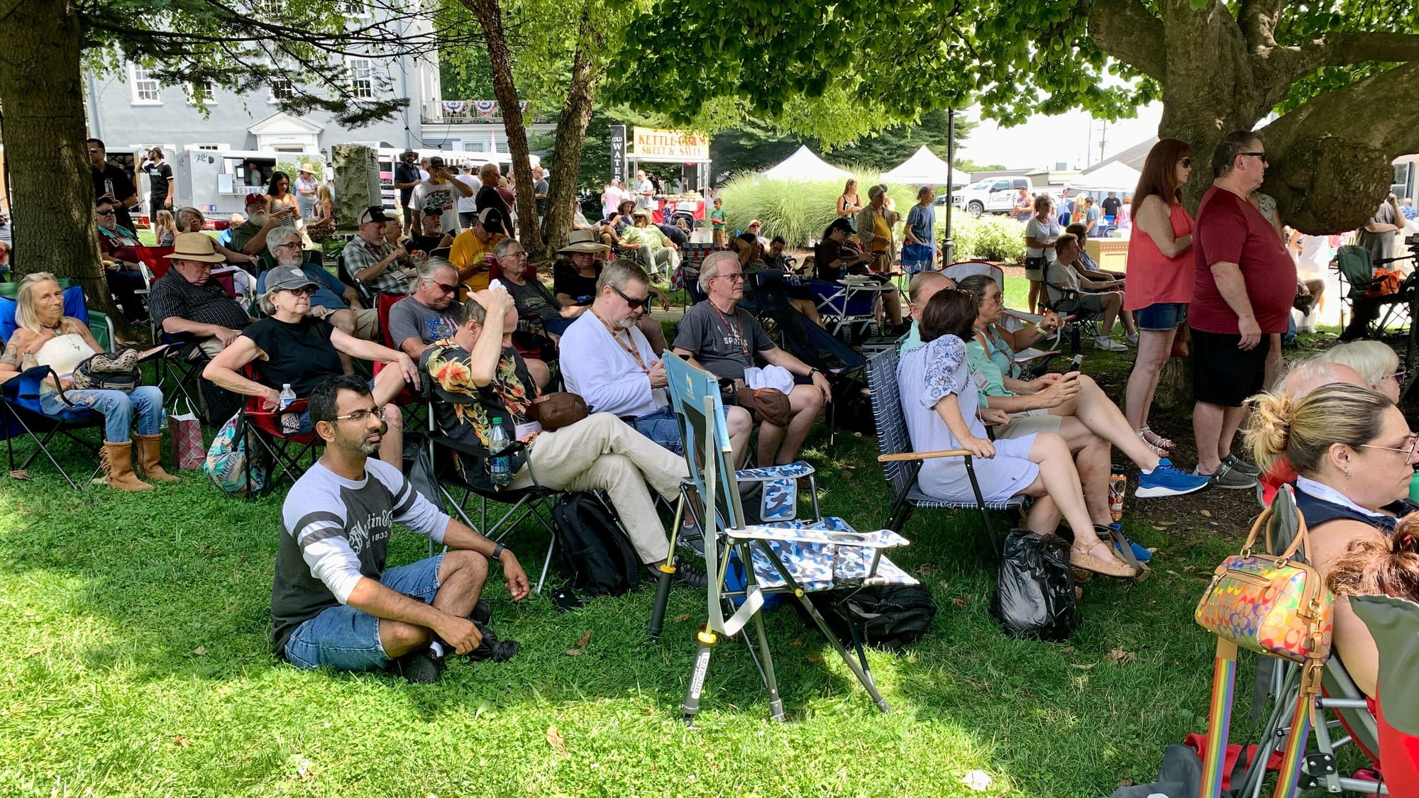 A crowd watches the main stage show at Martin on Main.