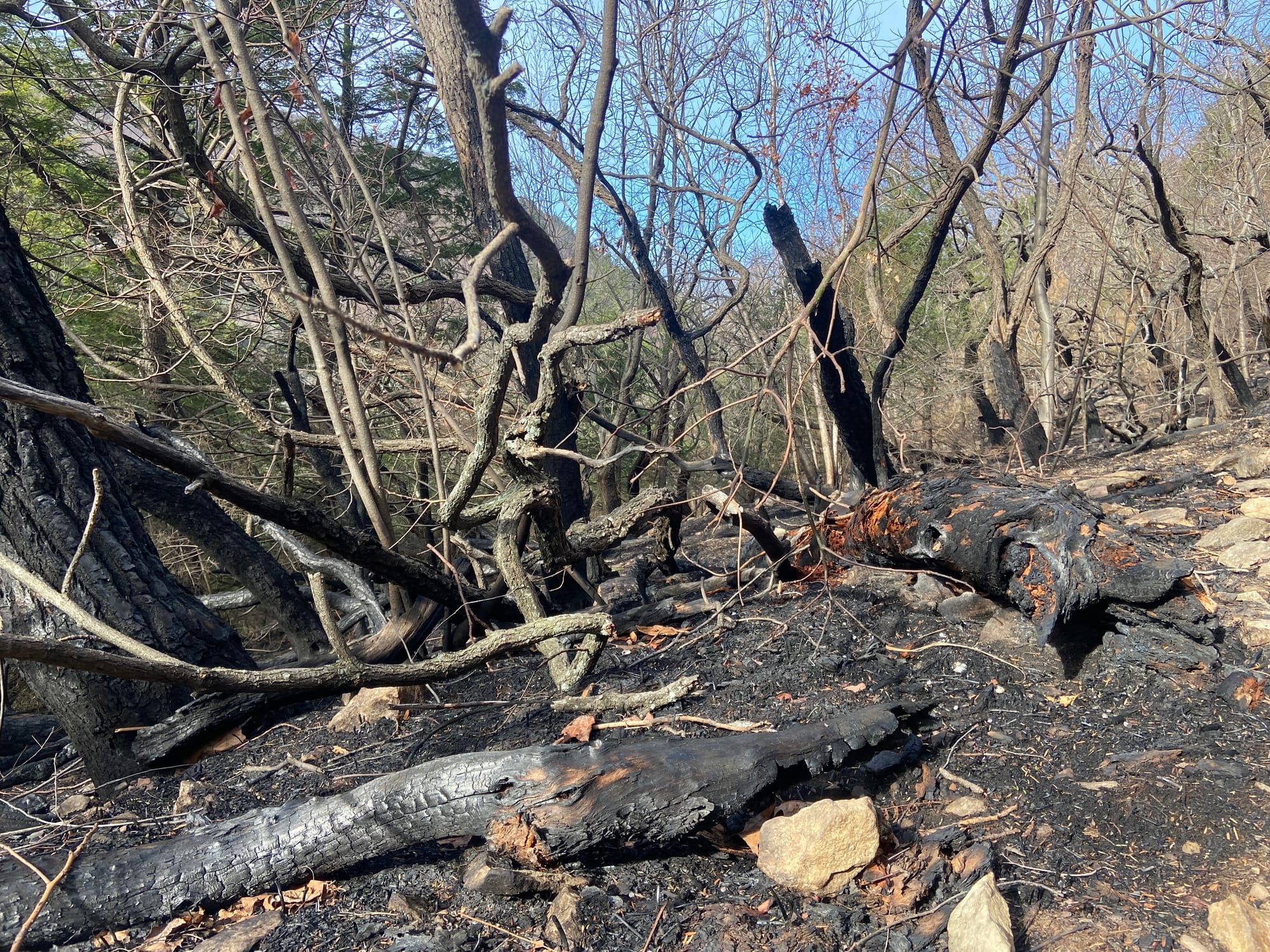 The aftermath of the Blue Mountain fire. Photo taken Wednesday, Nov. 27, 2024.