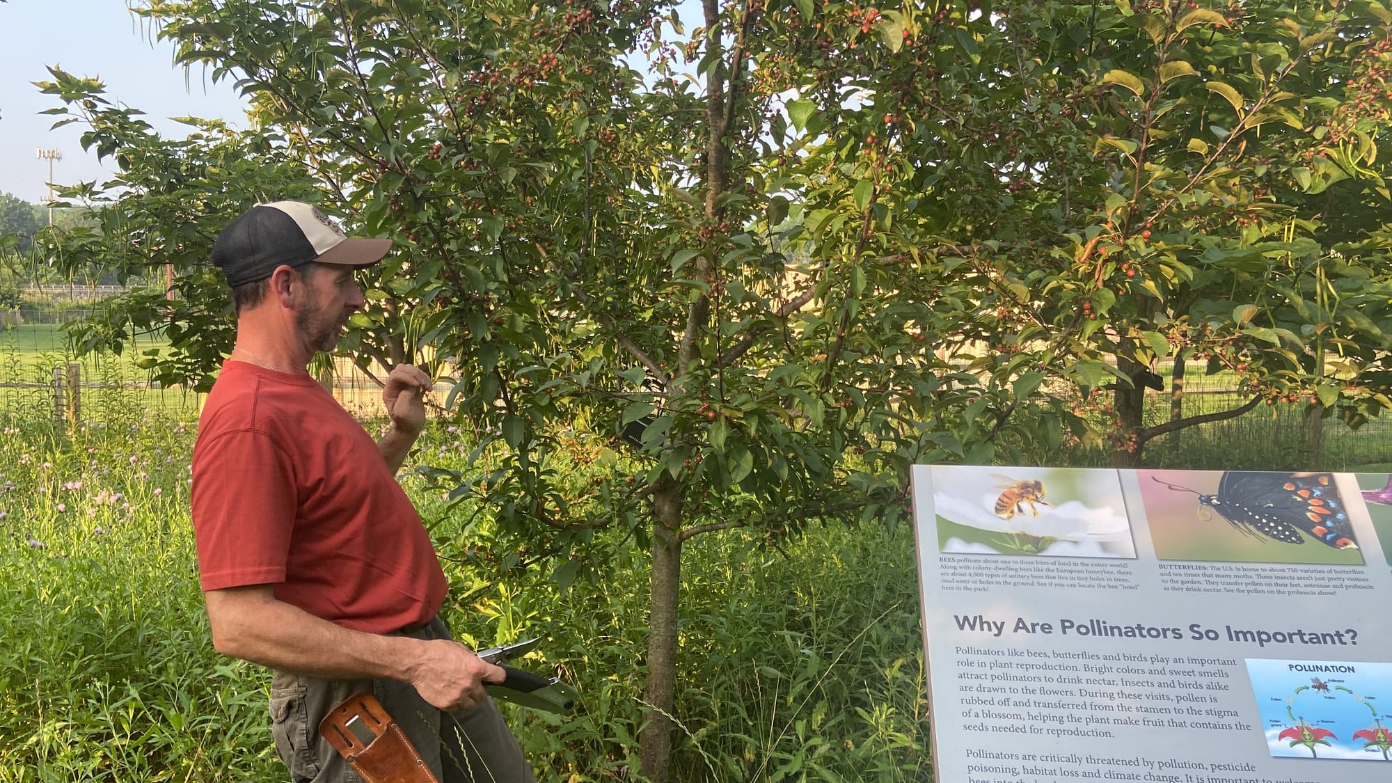 Rob Christopher, Easton's conservation manager, held a class Wednesday evening at the city's microforest about the basics of 