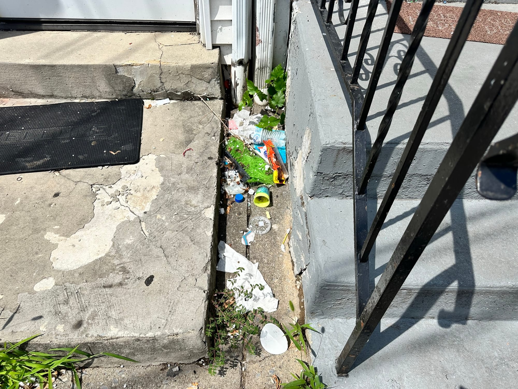 More than 50 bags of trash were collected from Allentown's streets Saturday as part of the Community and The Arts Clean Up.