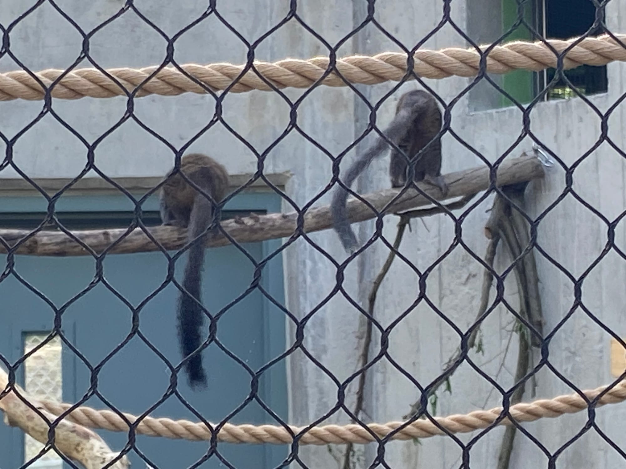 Officials gathered at Lehigh Valley Zoo, 5150 Game Preserve Road in Schnecksville, Thursday for a ribbon cutting at the zoo's