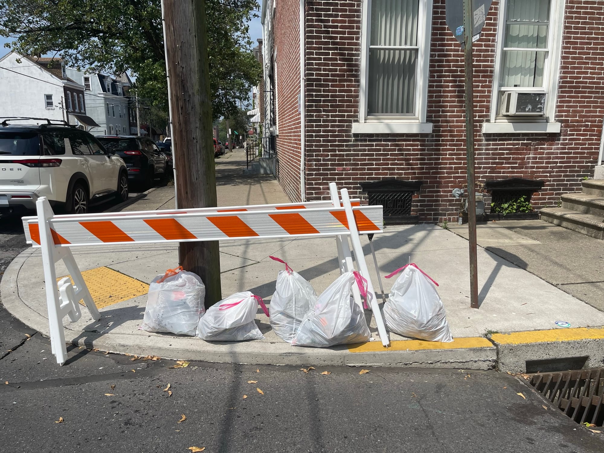 More than 50 bags of trash were collected from Allentown's streets Saturday as part of the Community and The Arts Clean Up.