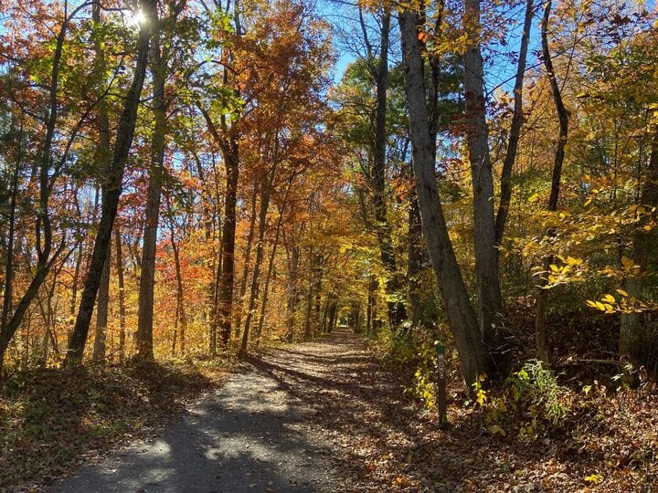 Environment and Science Reporter Molly Bilinski, alongside Grace Oddo, social media specialist, trekked across the Lehigh Val