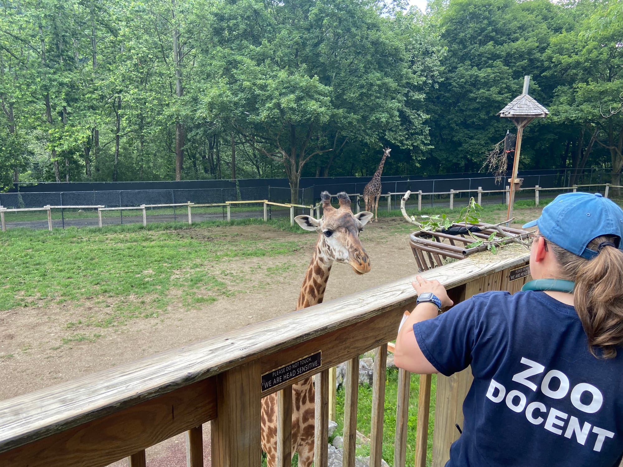 The Lehigh Valley Zoo on Tuesday held its annual "Independence Day Celebration." The event included patriotic enrichment for 