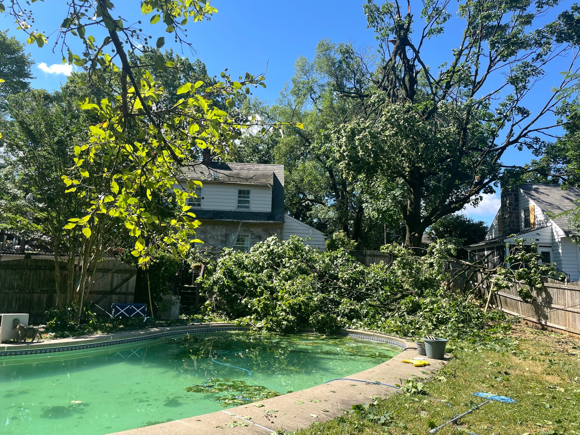 Trees litter a backyard and a pool area at a home in the west end of Bethlehem.