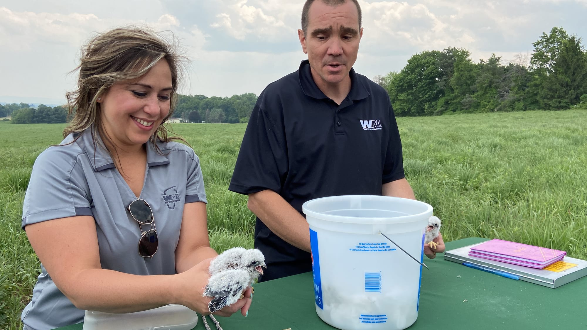 Five American kestrels, four male and one female, were banded Thursday afternoon at Grand Central Landfill in Pen Argyl.