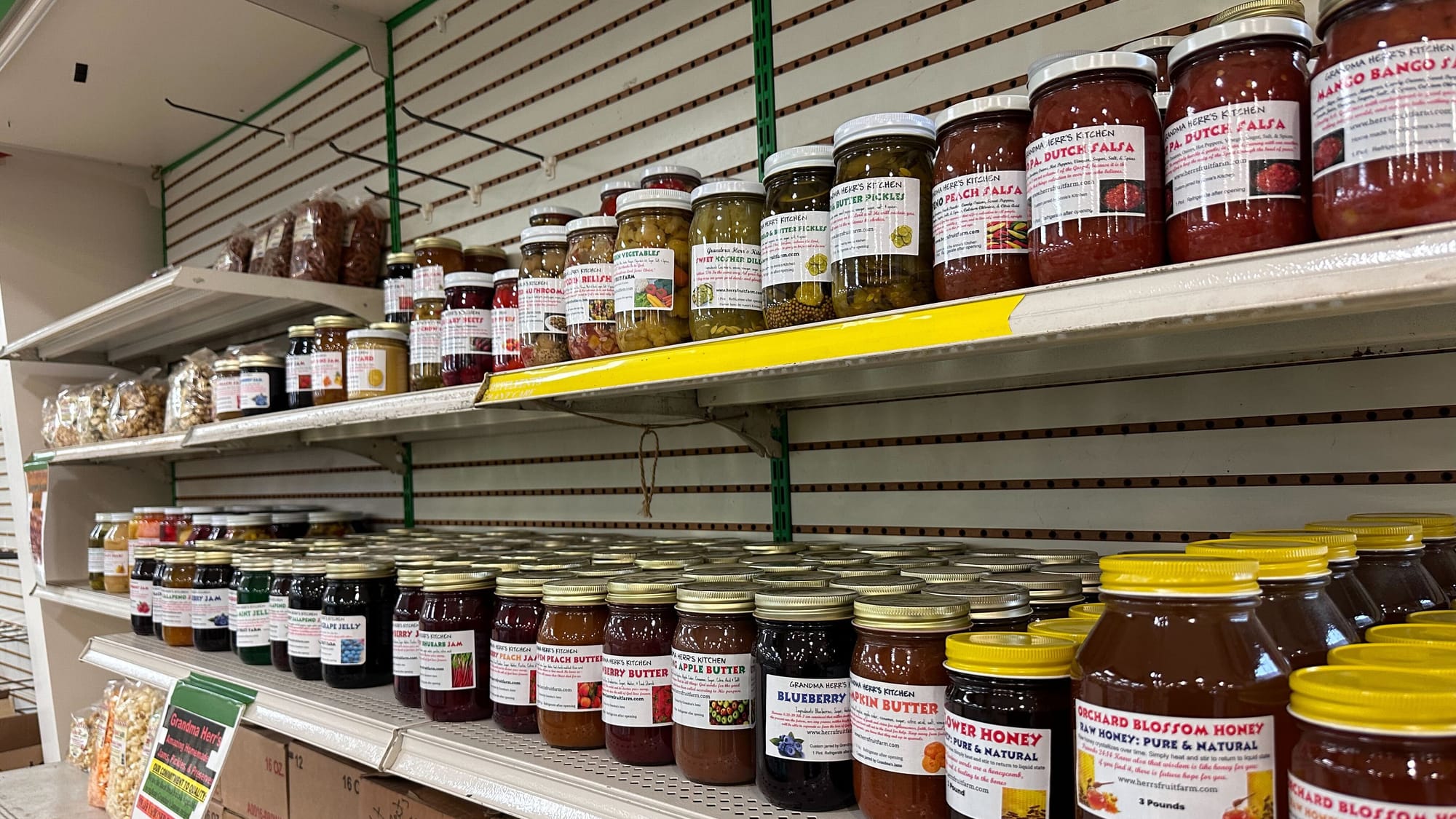 Dan Shantz Greenhouse, a popular plant destination in Allentown, closed in December 2023. But now it's back, temporarily, and