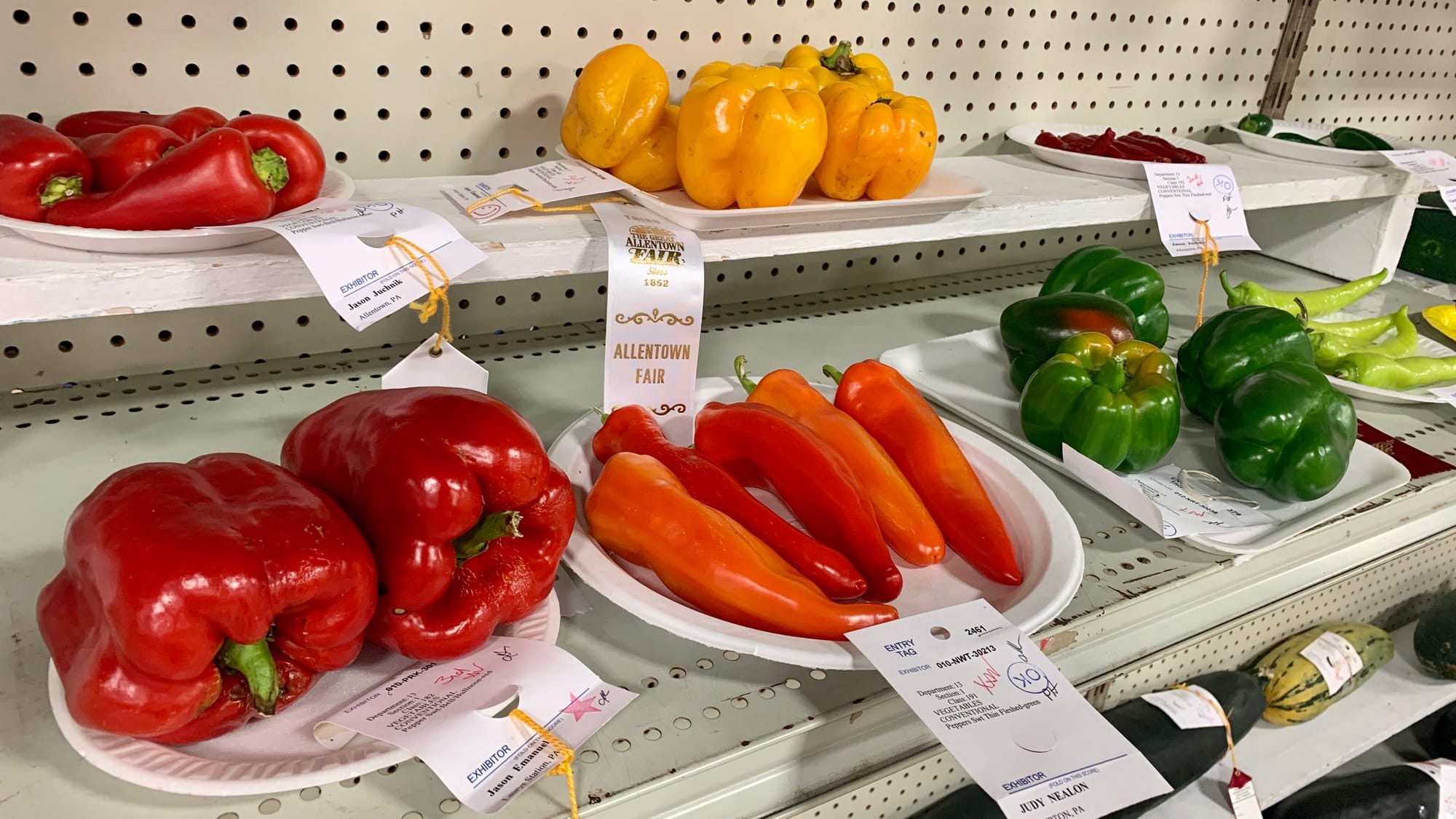Award-winning vegetables at the Great Allentown Fair.