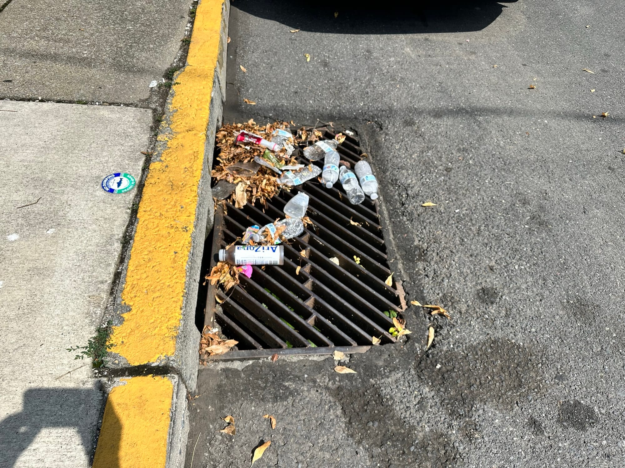More than 50 bags of trash were collected from Allentown's streets Saturday as part of the Community and The Arts Clean Up.