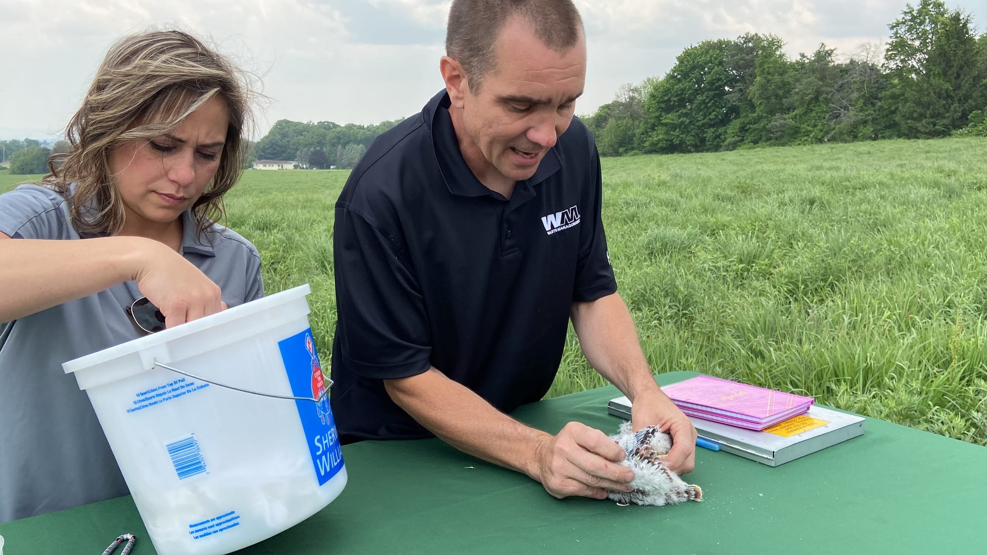 Five American kestrels, four male and one female, were banded Thursday afternoon at Grand Central Landfill in Pen Argyl.