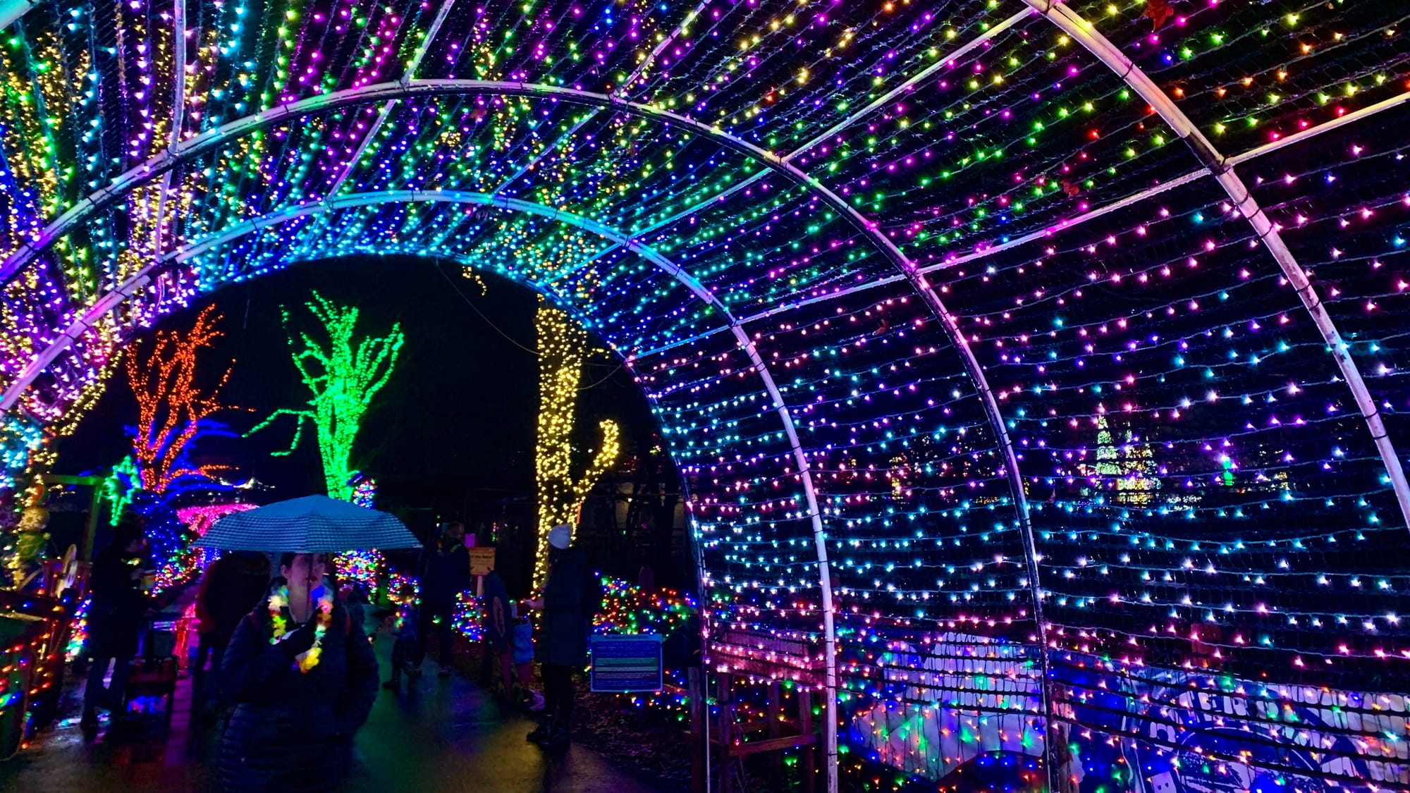 Lights at the Winter Light Spectacular.
