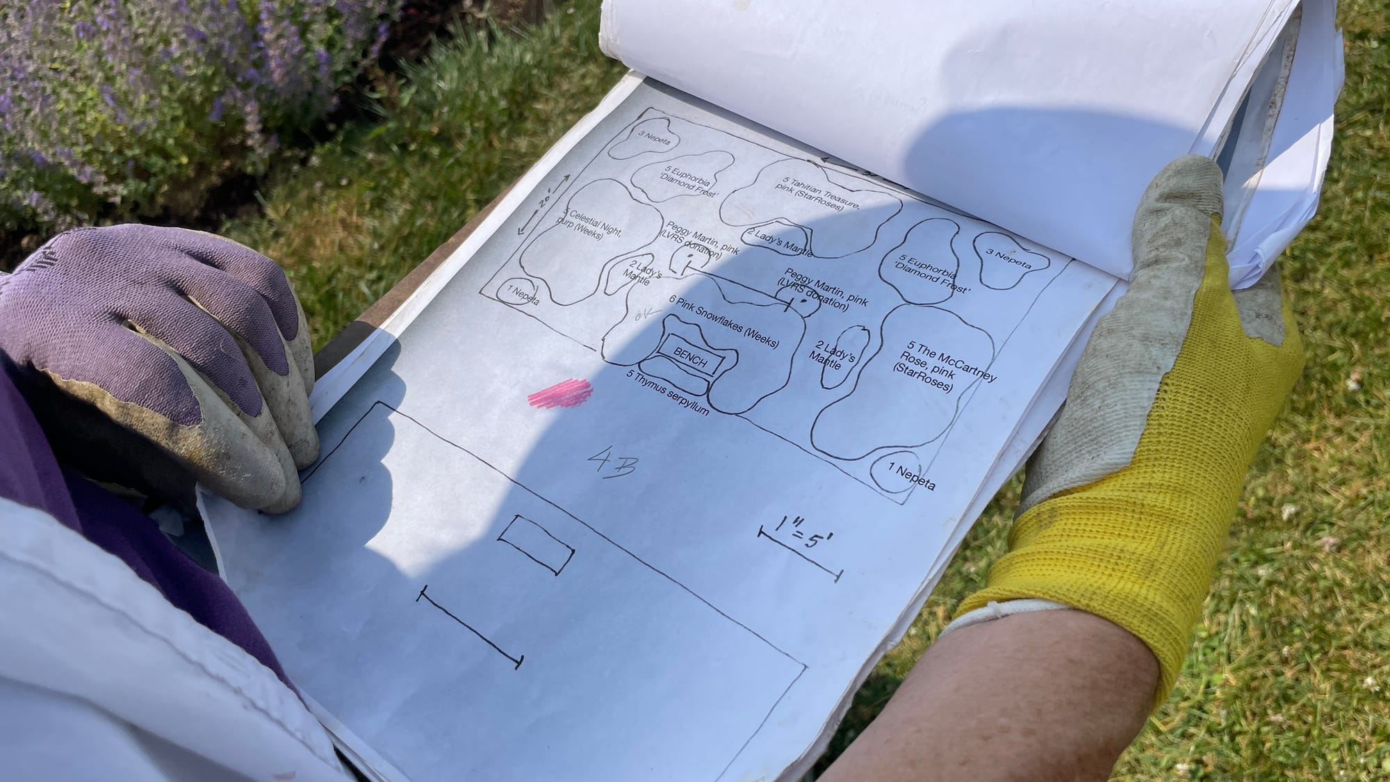 Horticulturist Pamela Ruch takes a look at a chart laying out some of the garden's plant types.