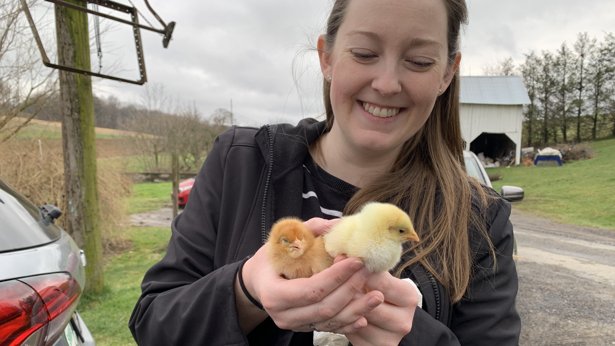South Mountain Middle School teacher Jill Arington holds baby chicks.