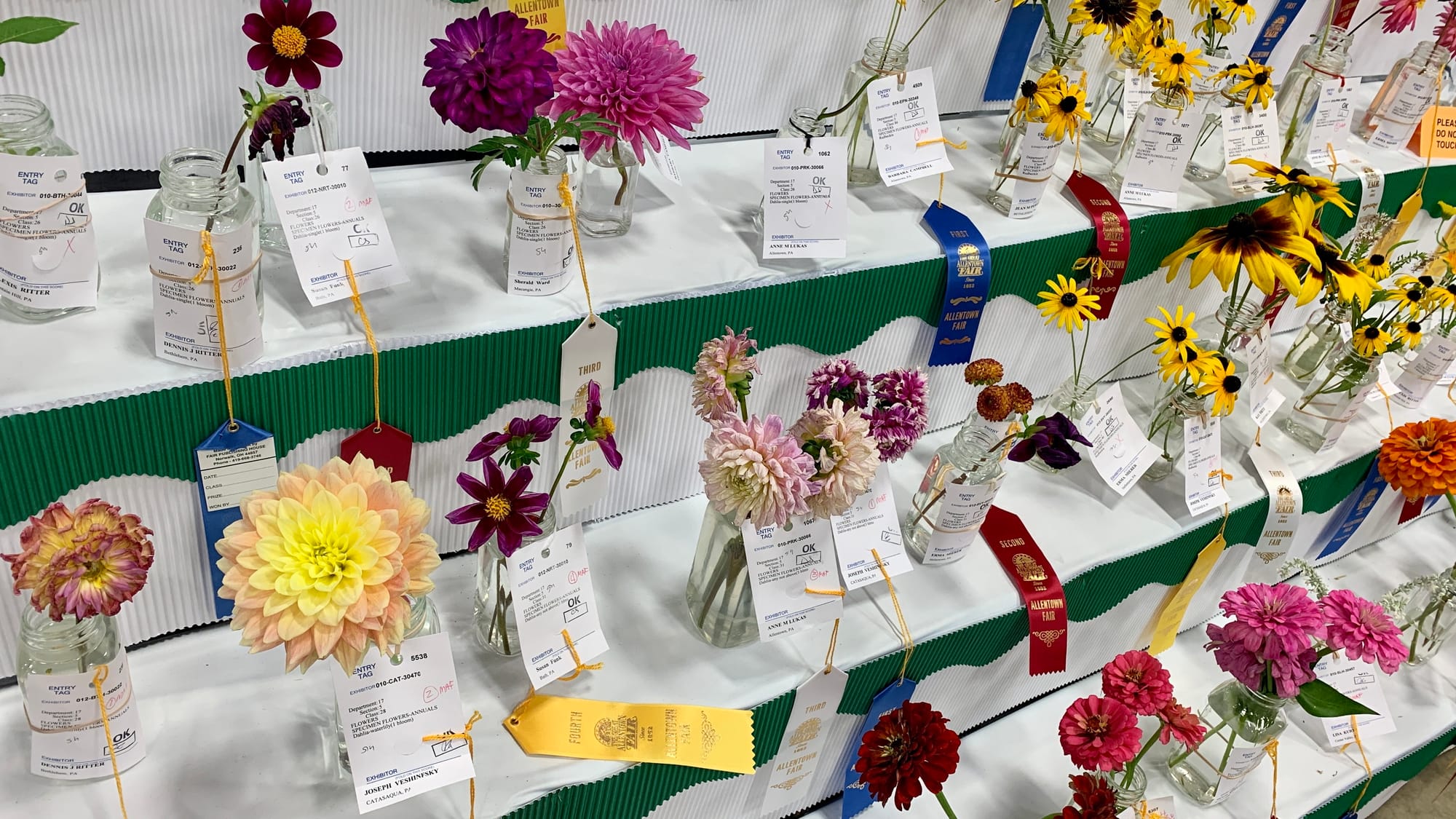 Award-winning flowers at the Great Allentown Fair.