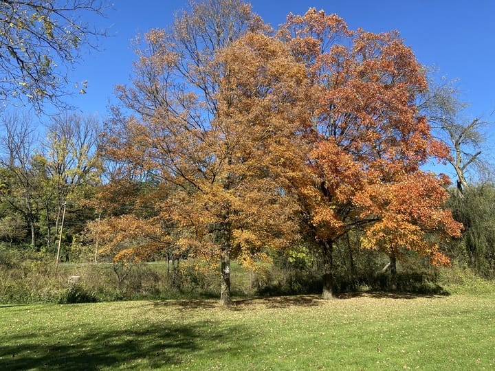 Environment and Science Reporter Molly Bilinski, alongside Grace Oddo, social media specialist, trekked across the Lehigh Val