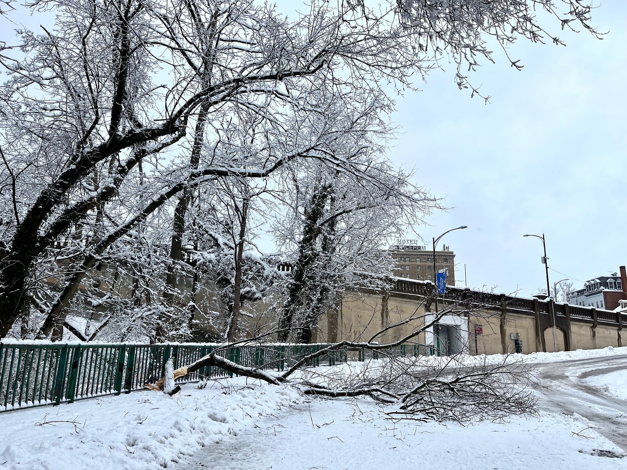 A branch falls under the weight of heavy snow in Bethlehem on Tuesday.
