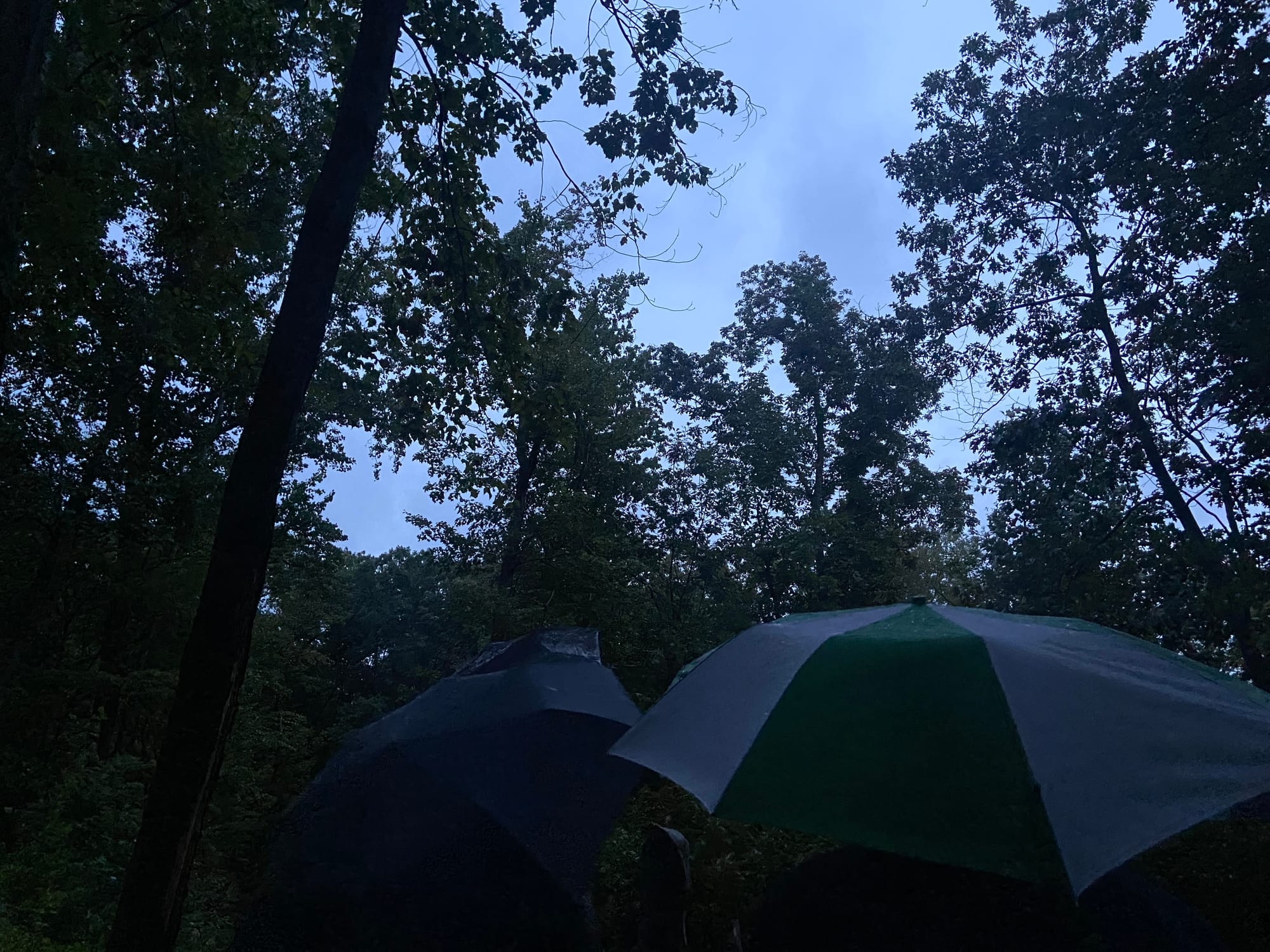A sunrise observance was held Saturday morning at Columcille Megalith Park to mark the Autumnal Equinox. Nestled in the woods