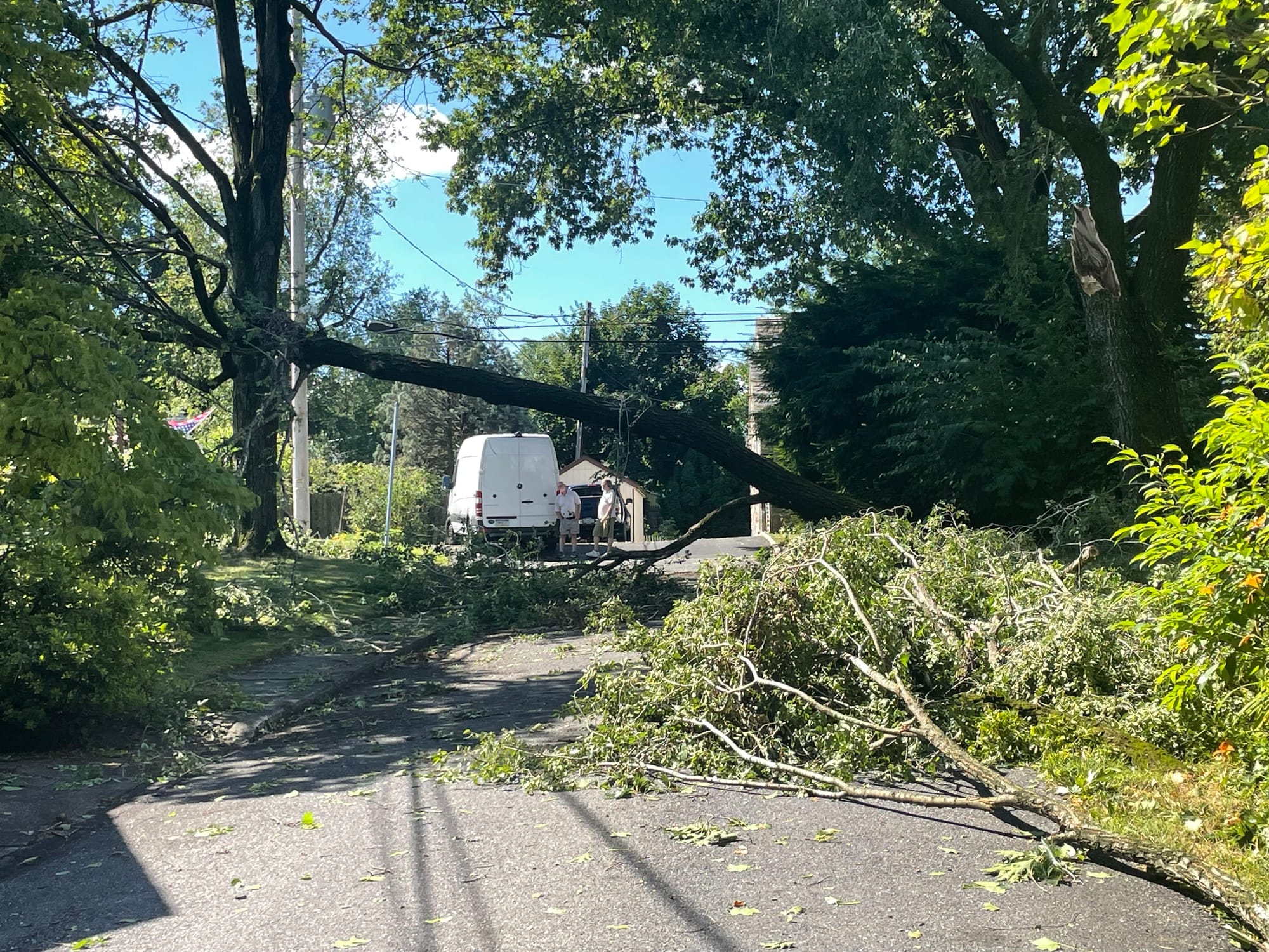 Trees lay on power lines on a street in the west end of Bethlehem.