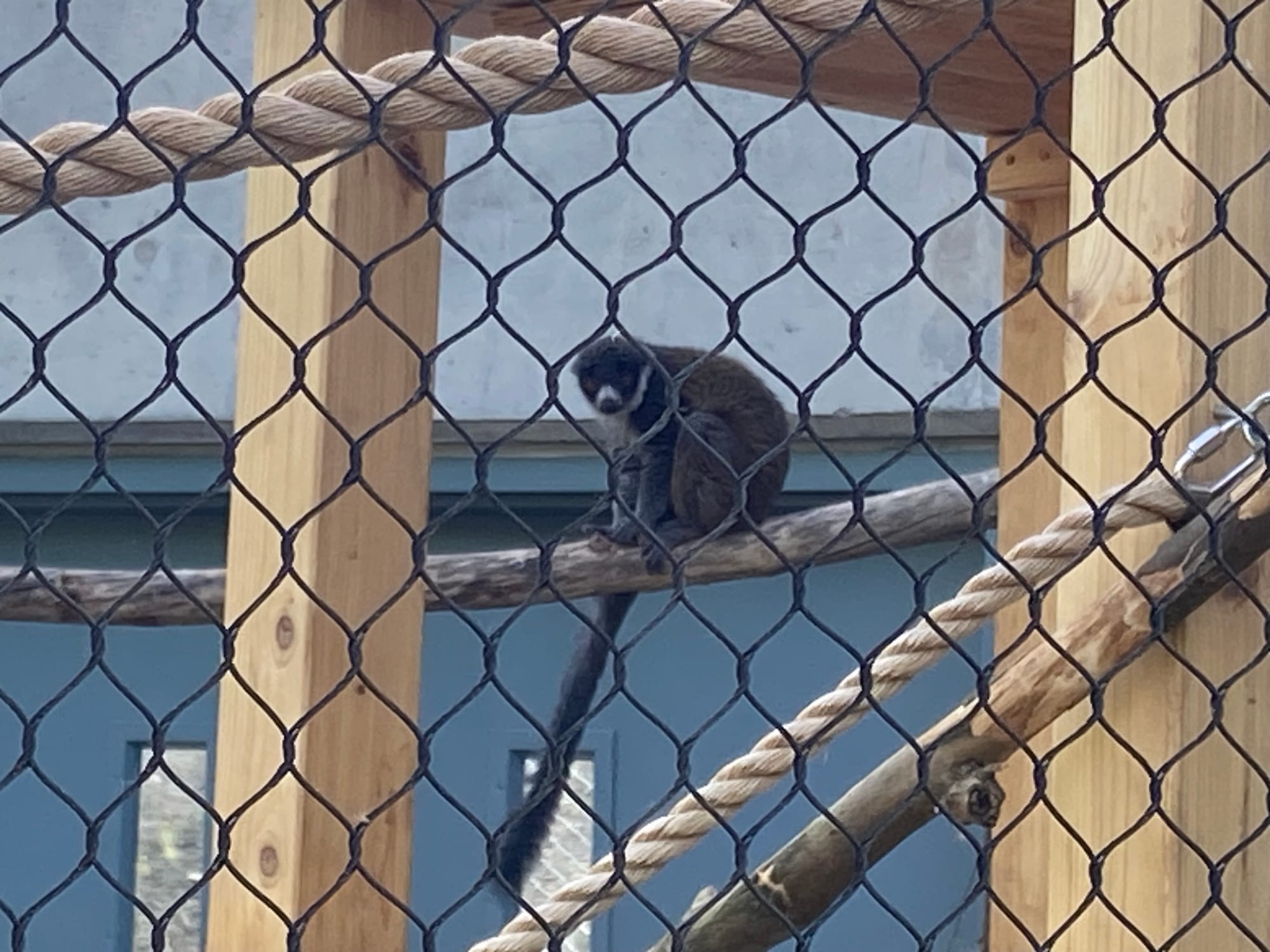 Officials gathered at Lehigh Valley Zoo, 5150 Game Preserve Road in Schnecksville, Thursday for a ribbon cutting at the zoo's