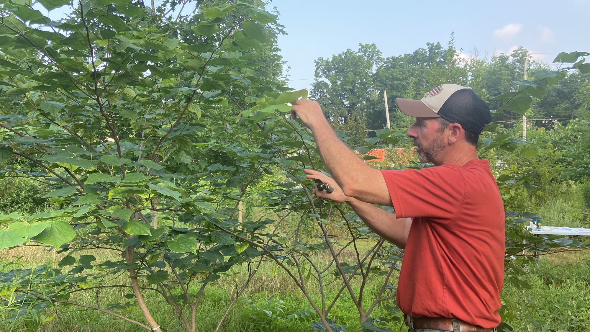 Rob Christopher, Easton's conservation manager, held a class Wednesday evening at the city's microforest about the basics of 