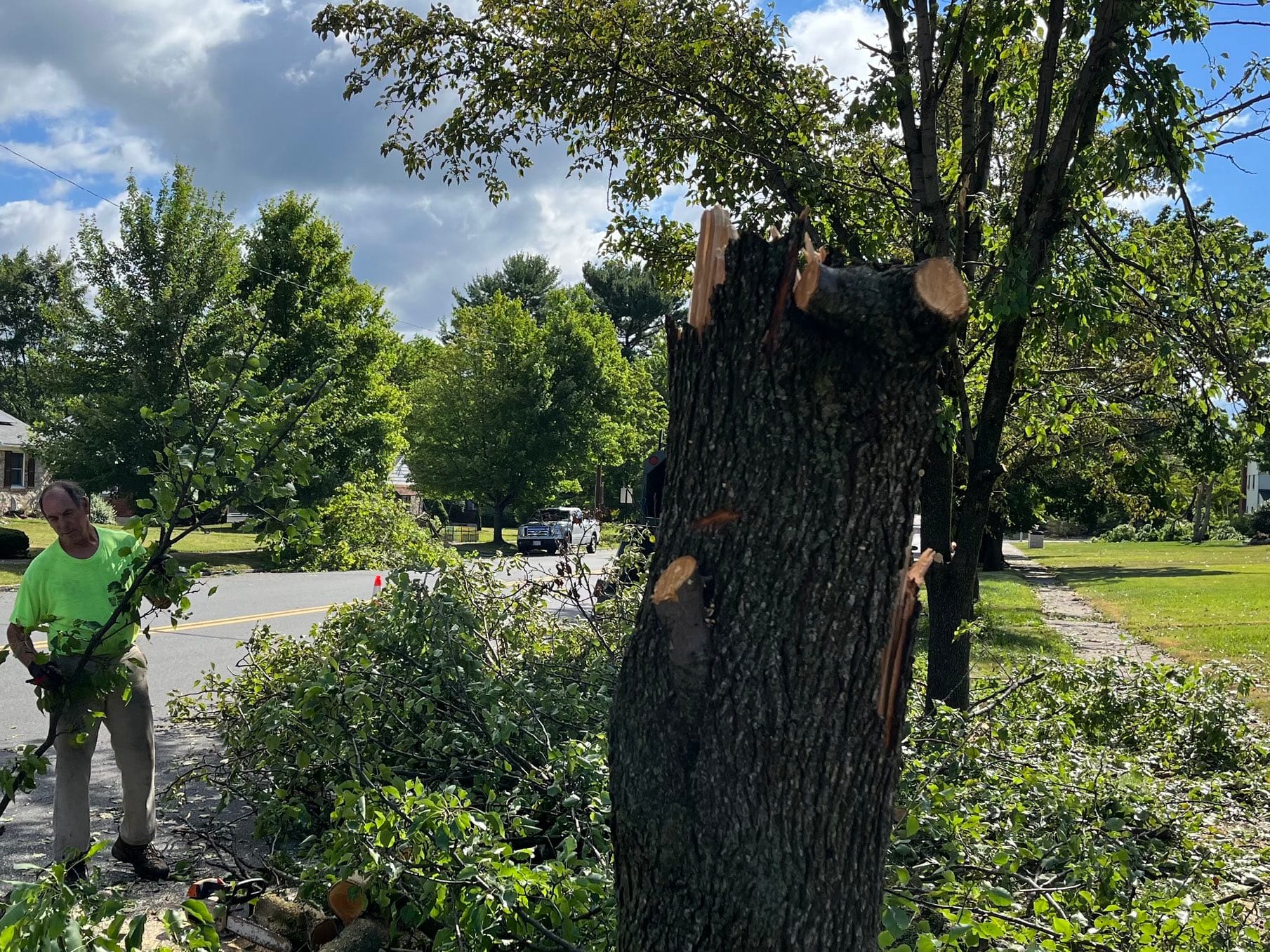 Charlie Gimbar of Green Shadow Tree Service of Lower Saucon Township uses a chainsaw at West Union Boulevard in Bethlehem to 